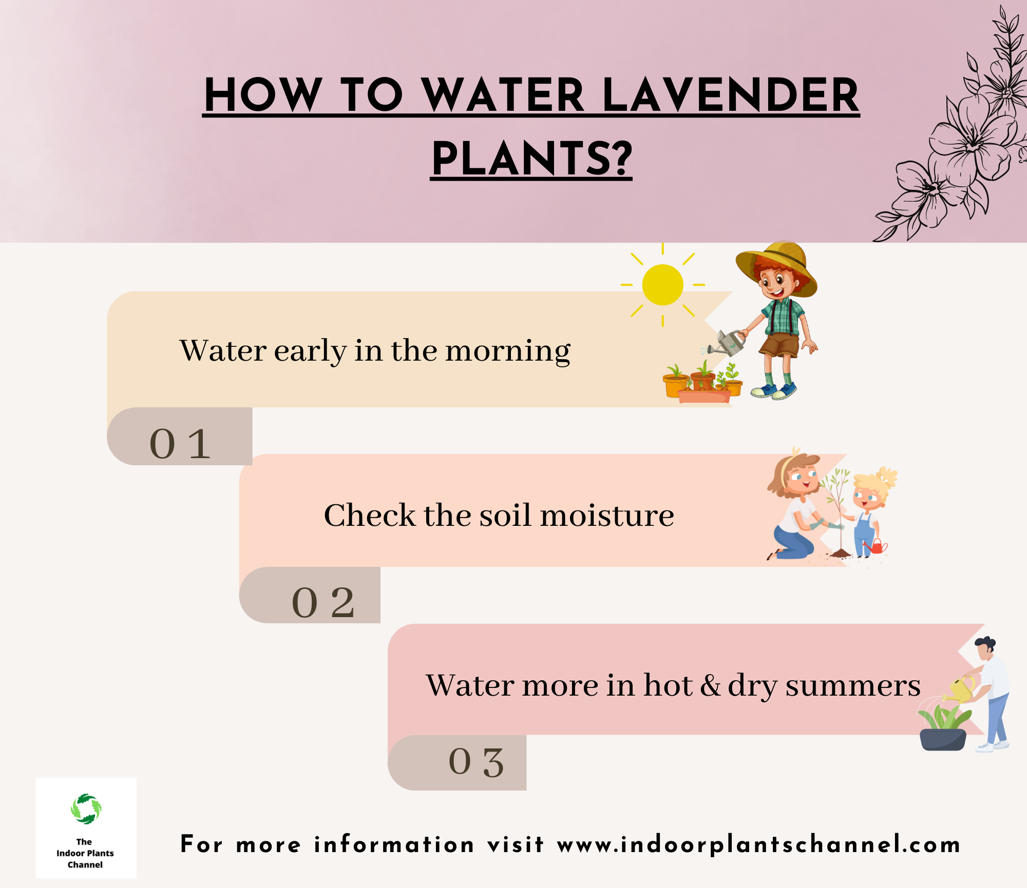 How To Water Your Lavender Plant