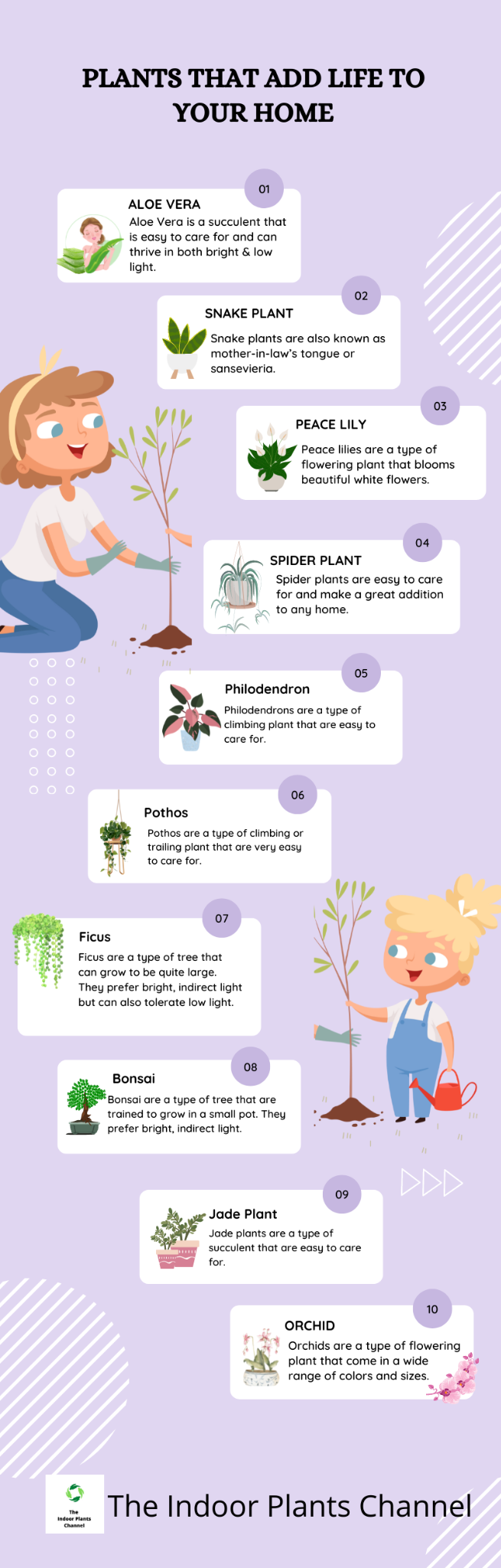 20 Best Easy-To-Care For Indoor Plants