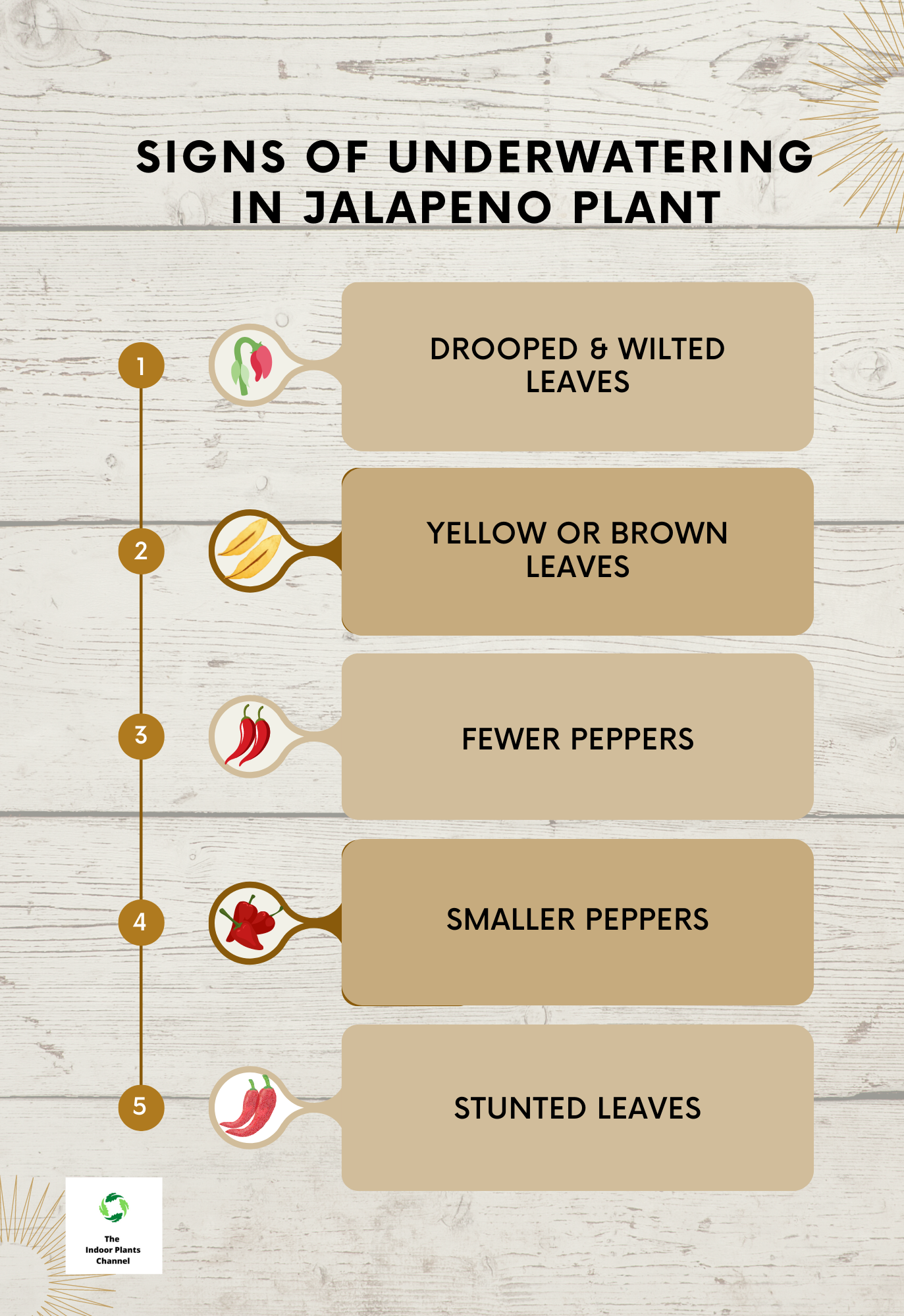 What Are The Signs Of Underwatering A Jalapeno Plant?