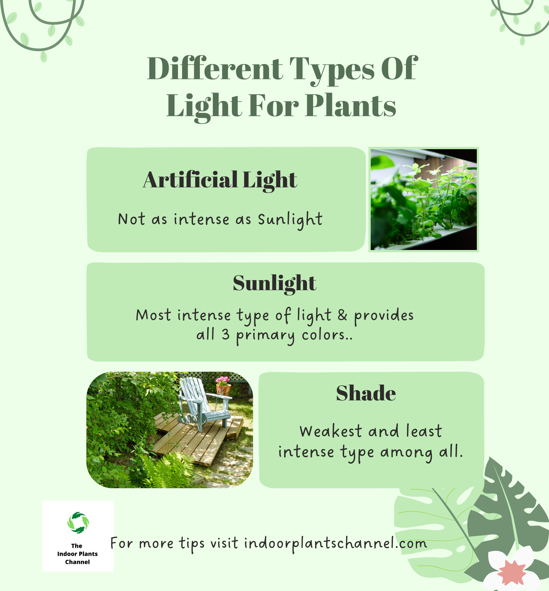 The Different Types Of Light For Plants