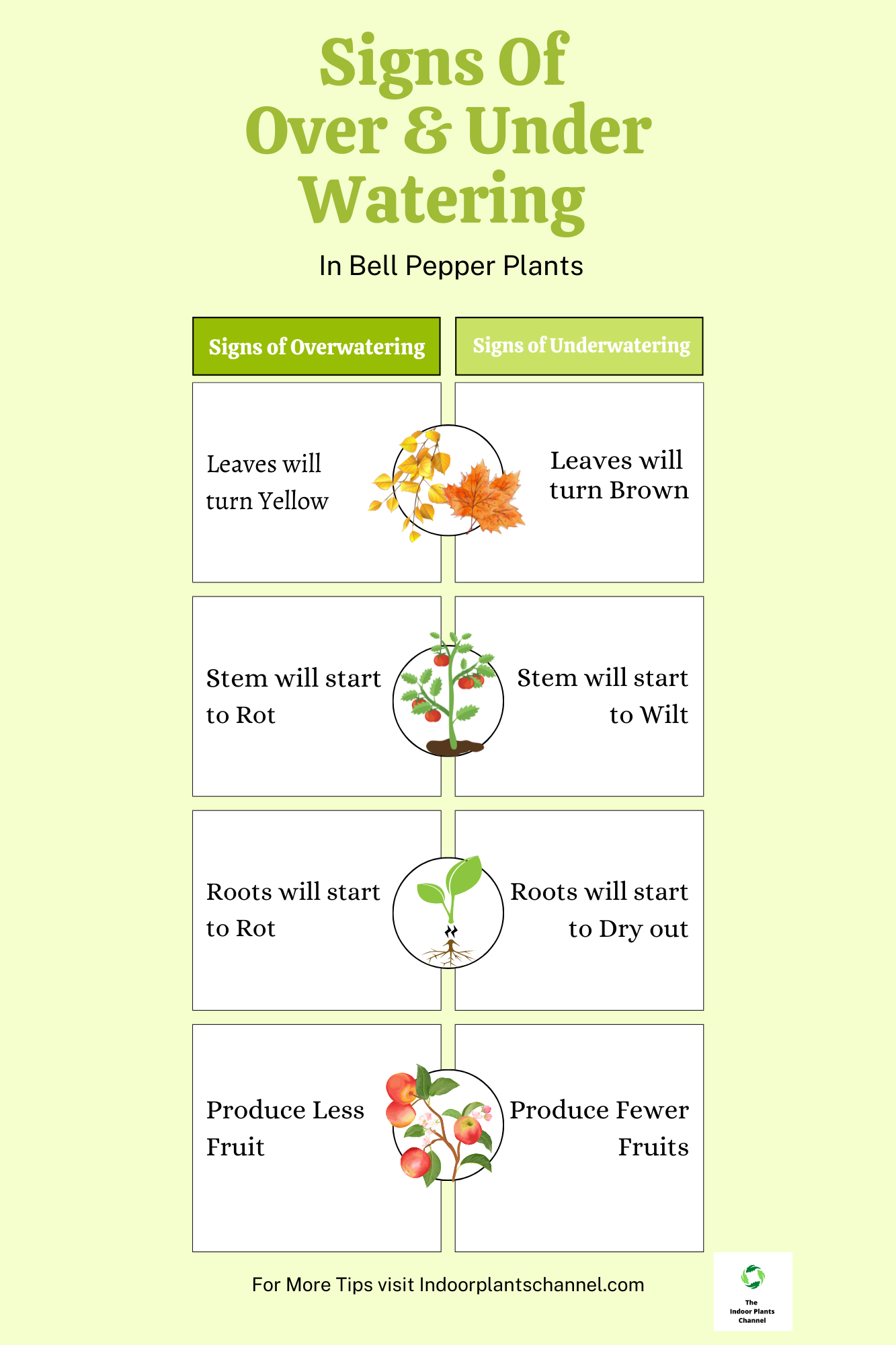 5 Signs Of Underwatering In Bell Pepper Plants In Pots