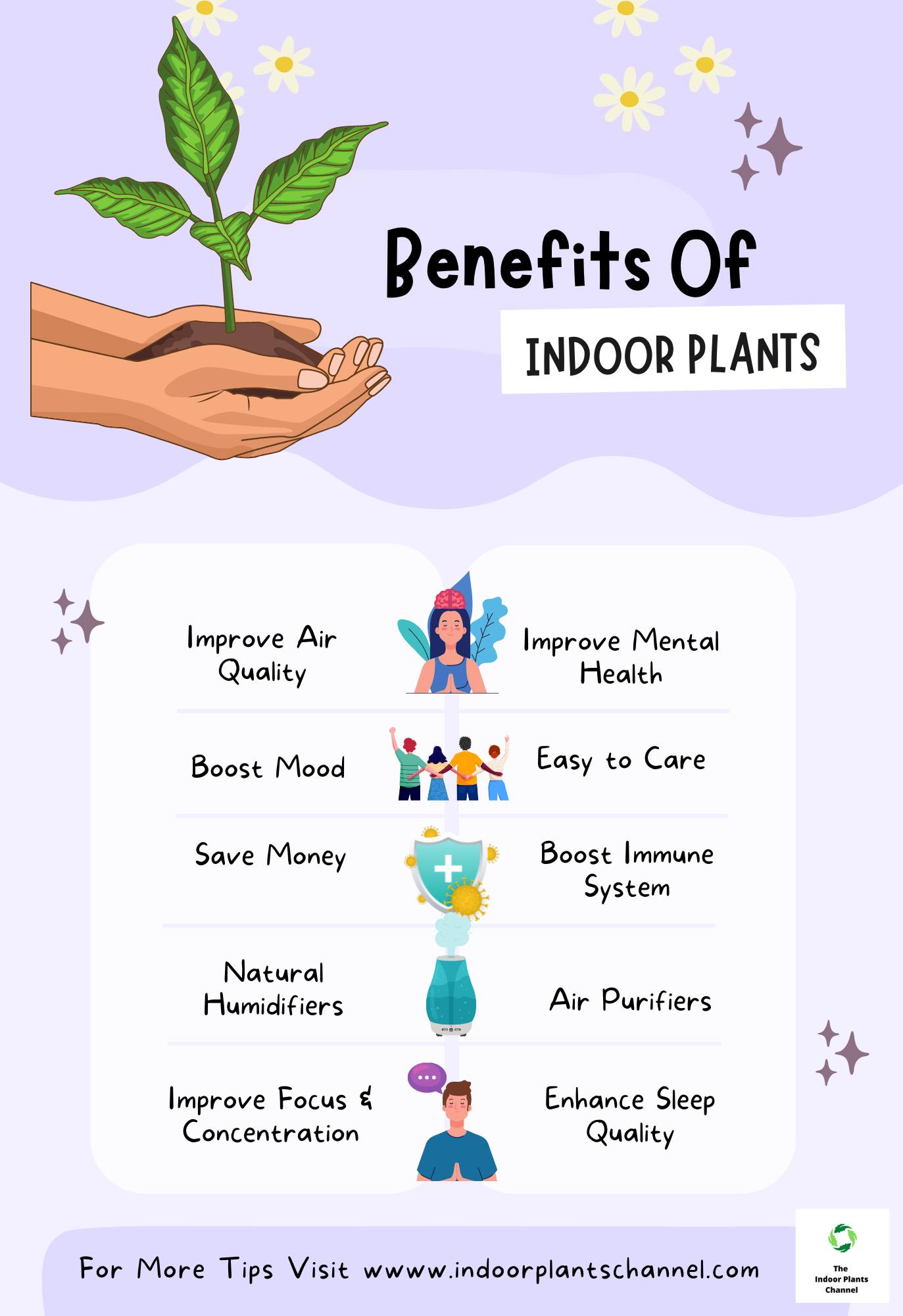 10 Benefits Of Having Indoor Plants At Home