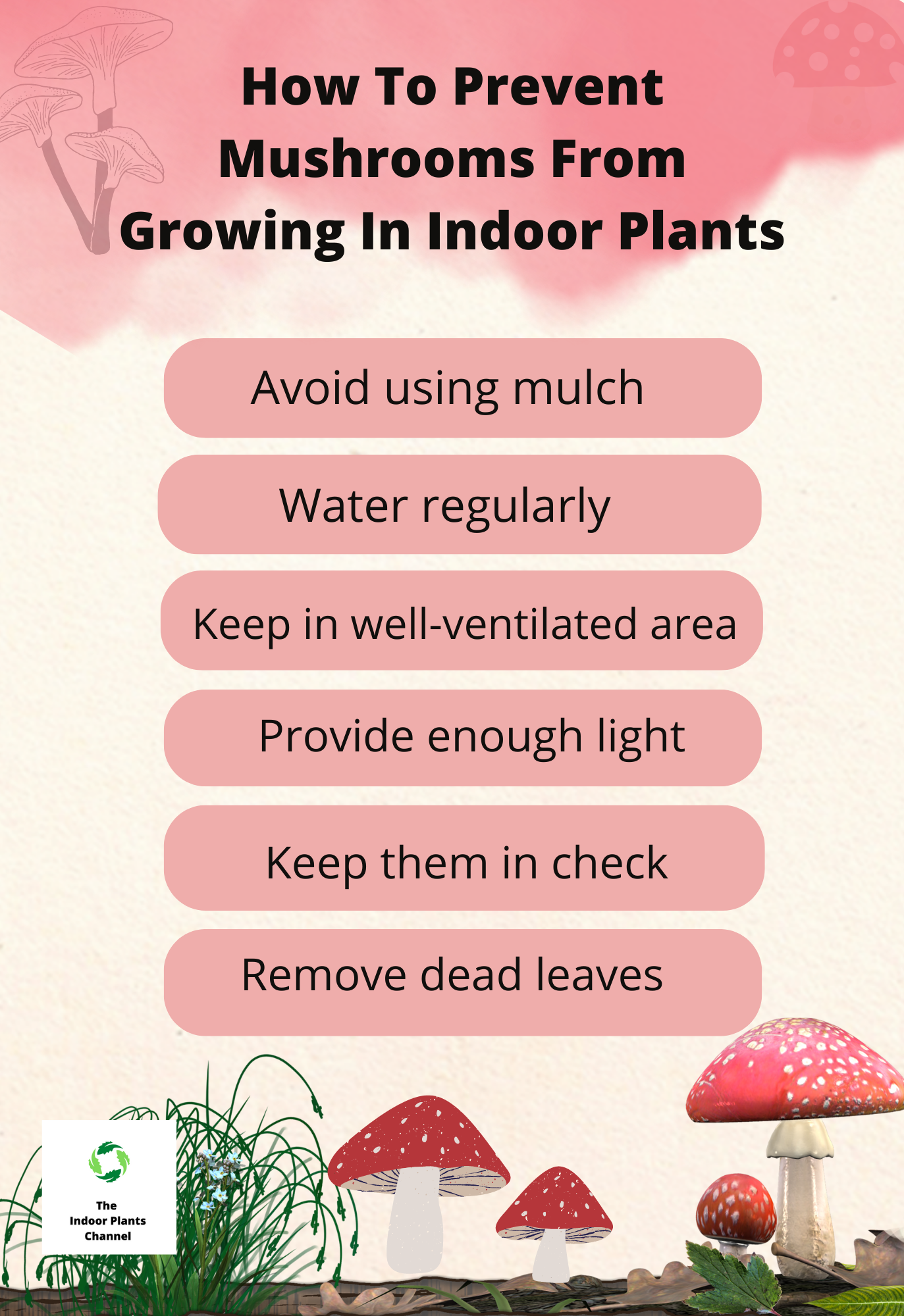 How To Keep Your House Plants Free Of Mushrooms