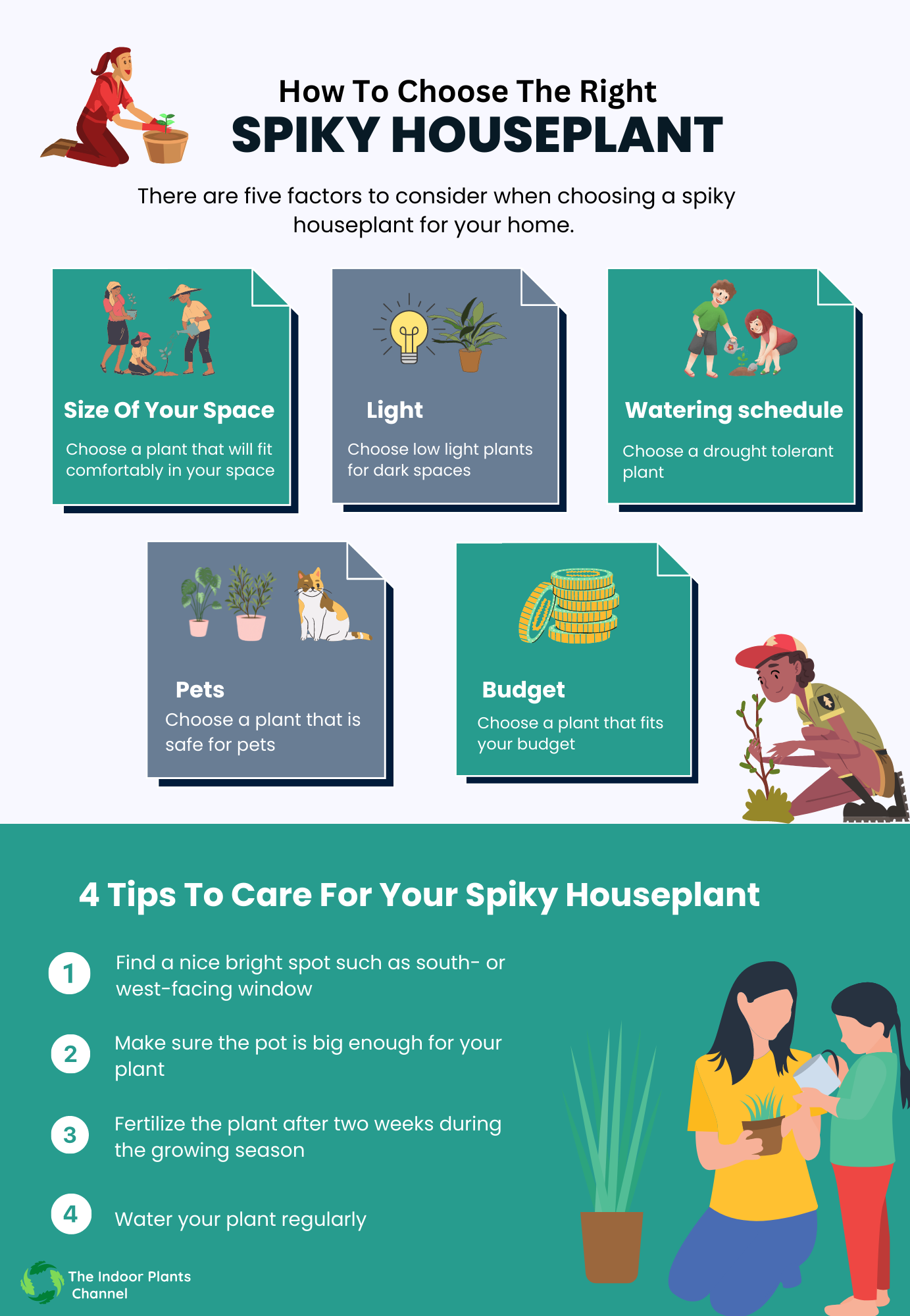 How To Choose The Right Spiky Houseplant