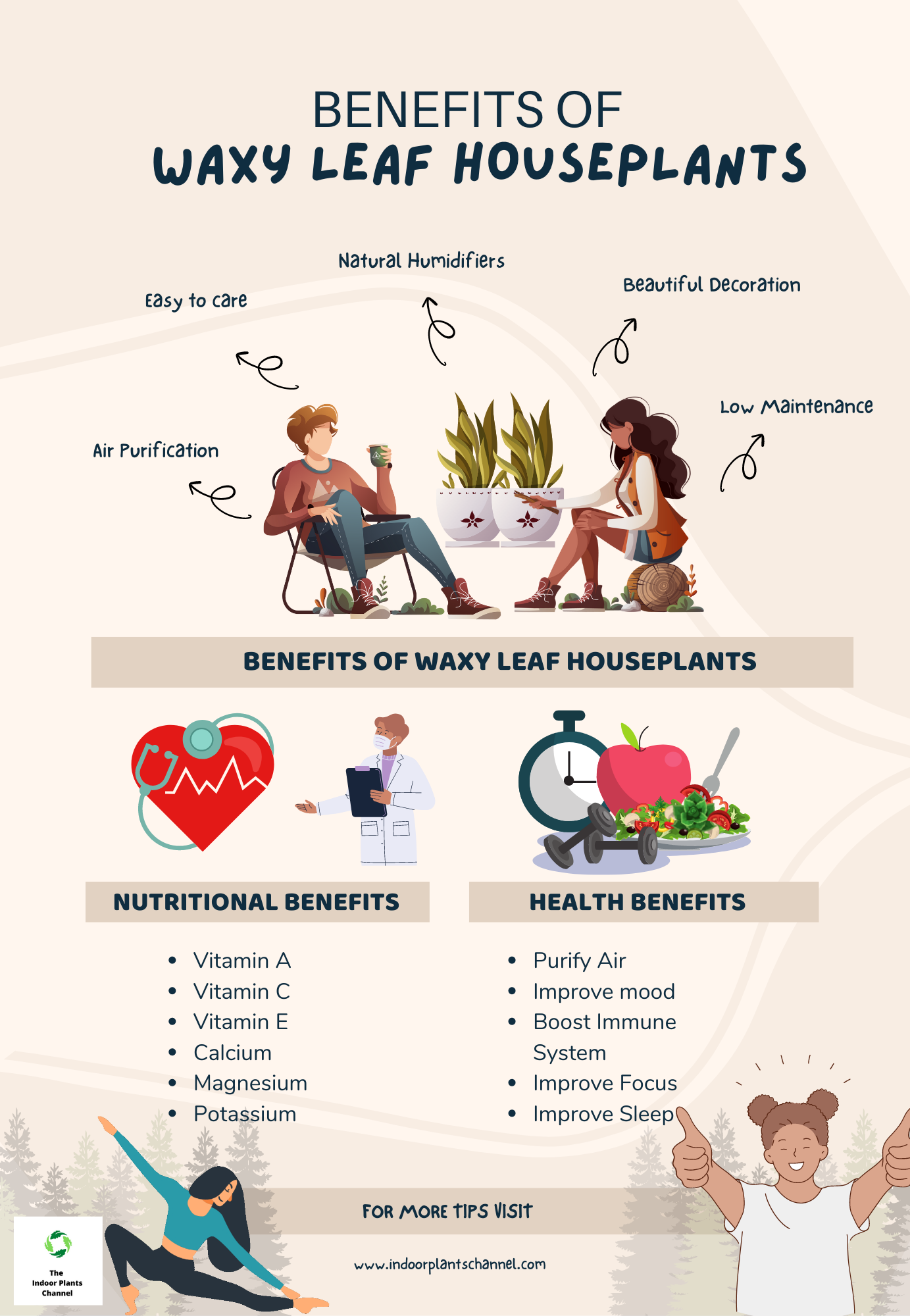 Benefits Of Waxy Leaf Houseplants