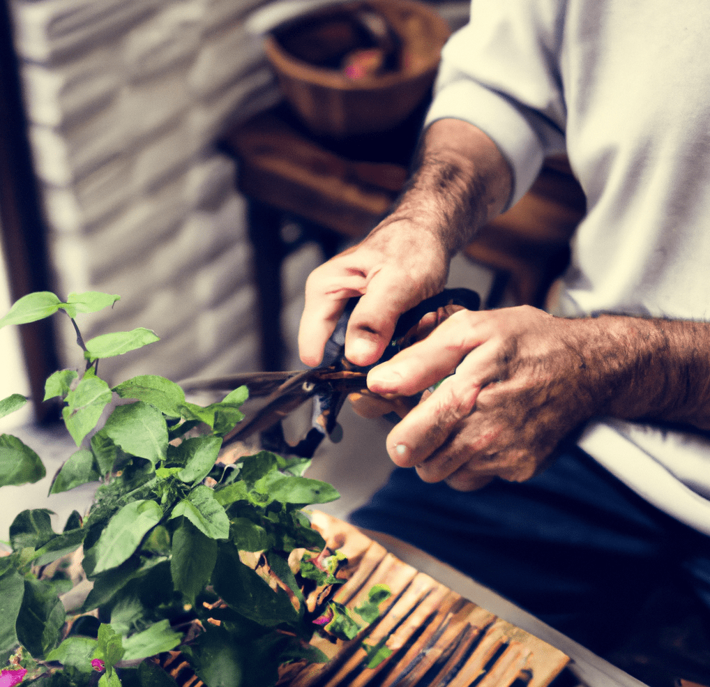 Man trimming a slow growing plant