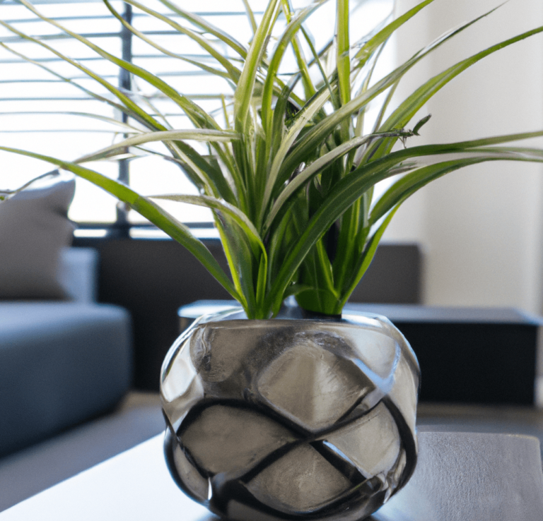 Waxy Leaf House Plants Everything You Wanted To Know