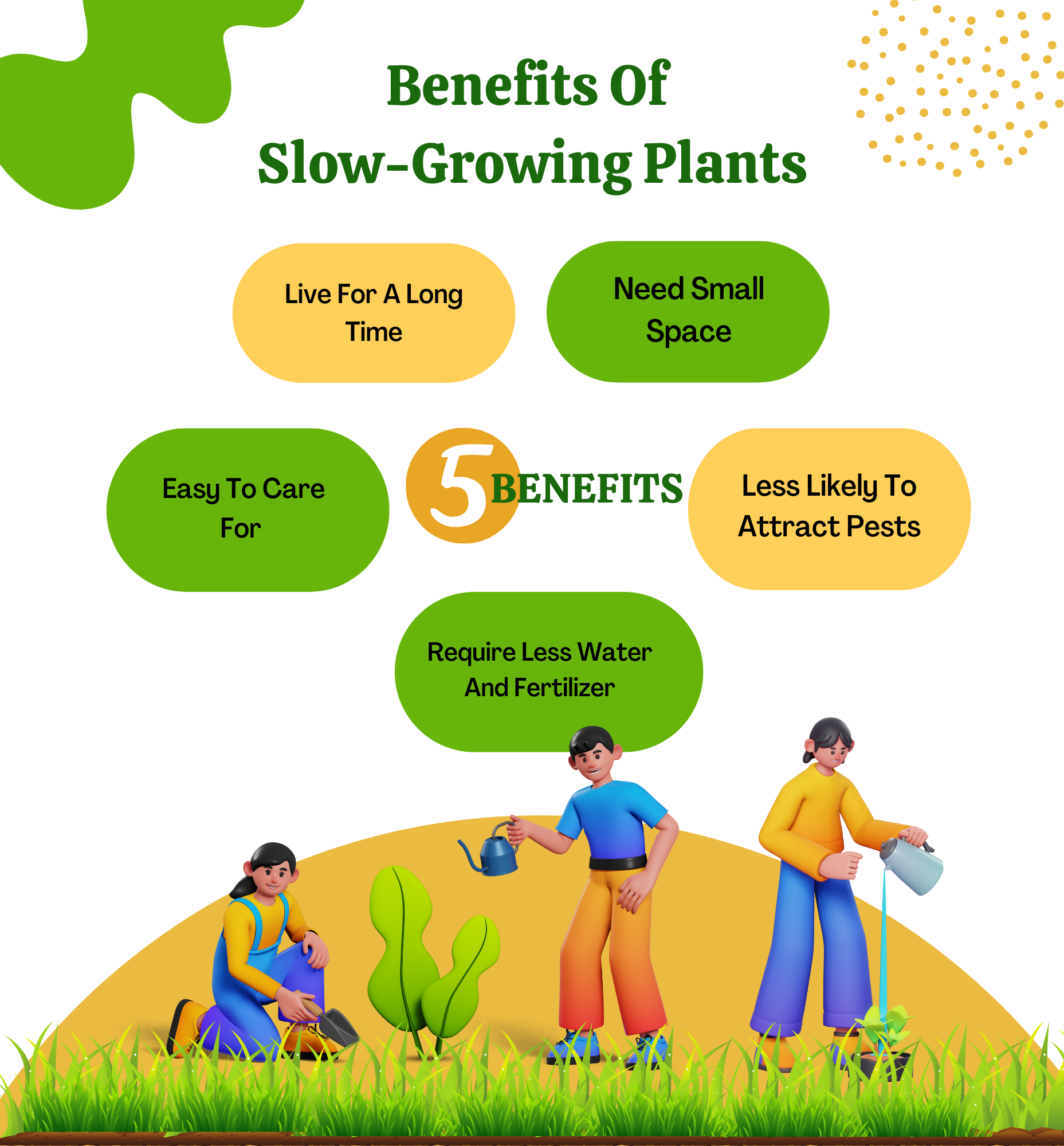 The Benefits Of Having Slow-growing Plants In Your Home