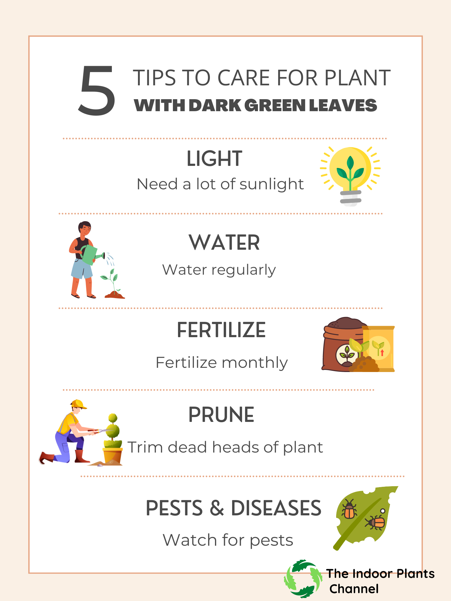 How To Care For Indoor Plants With Dark Green Leaves