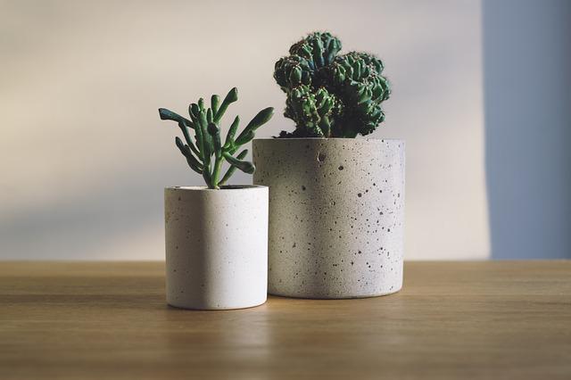 How To Care For Your Artificial Succulents