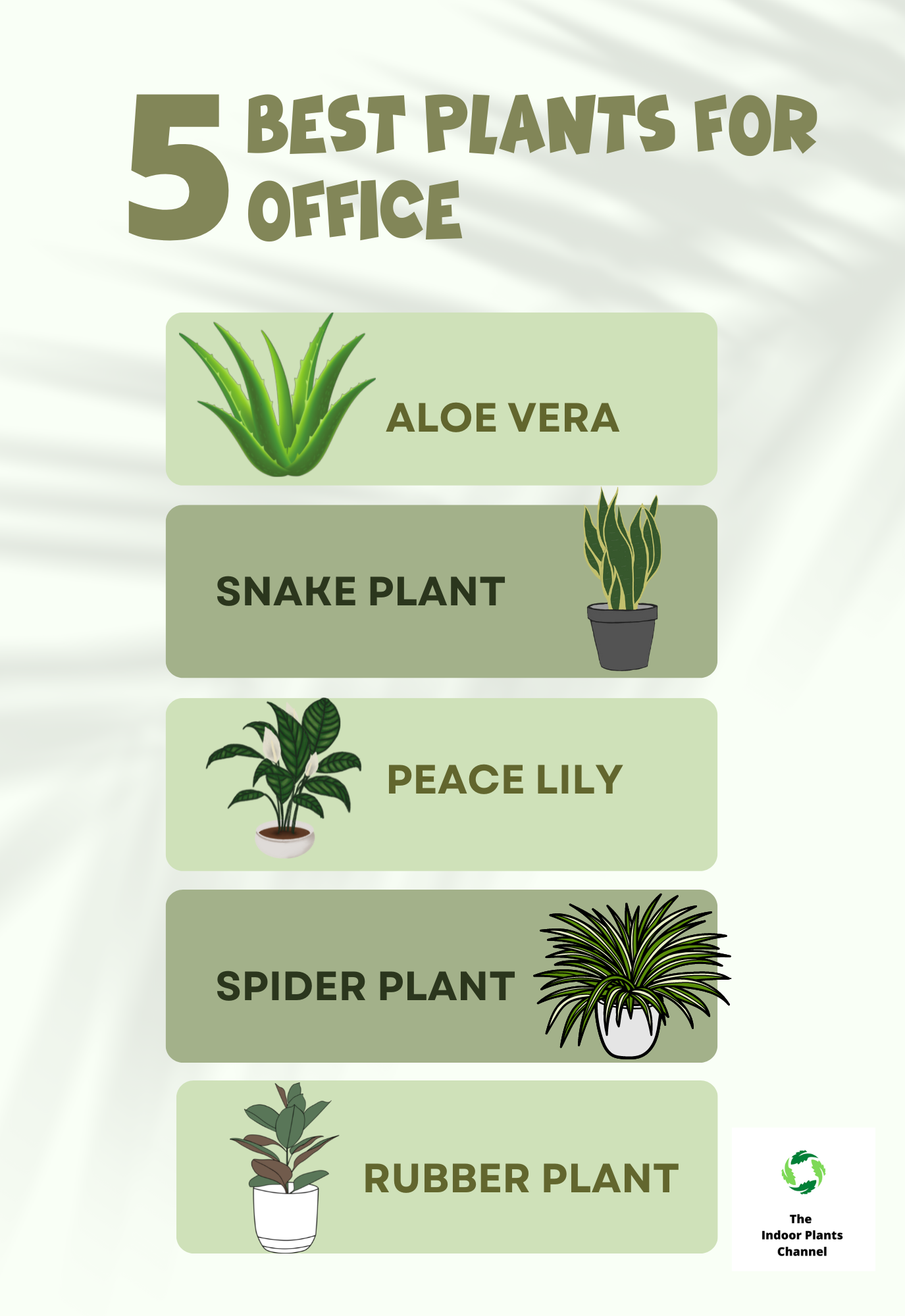 5 Best Plants For Your Office That Will Make You Productive