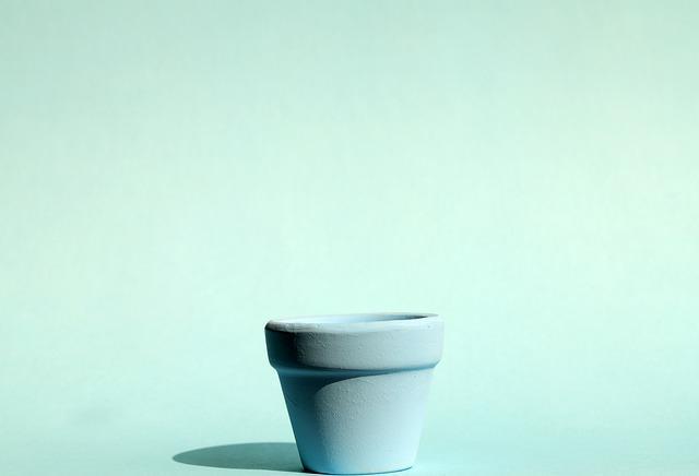 Ceramic Plant Pots : Money-Saving Ultimate Guide!