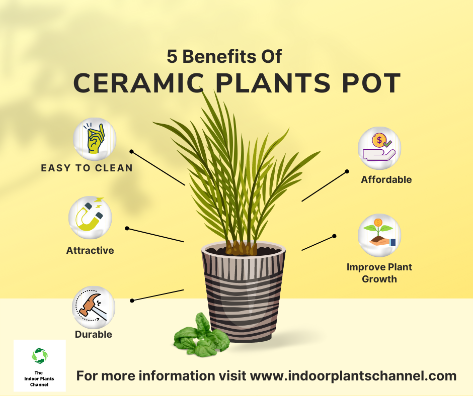 The Benefits Of Ceramic Plant Pots