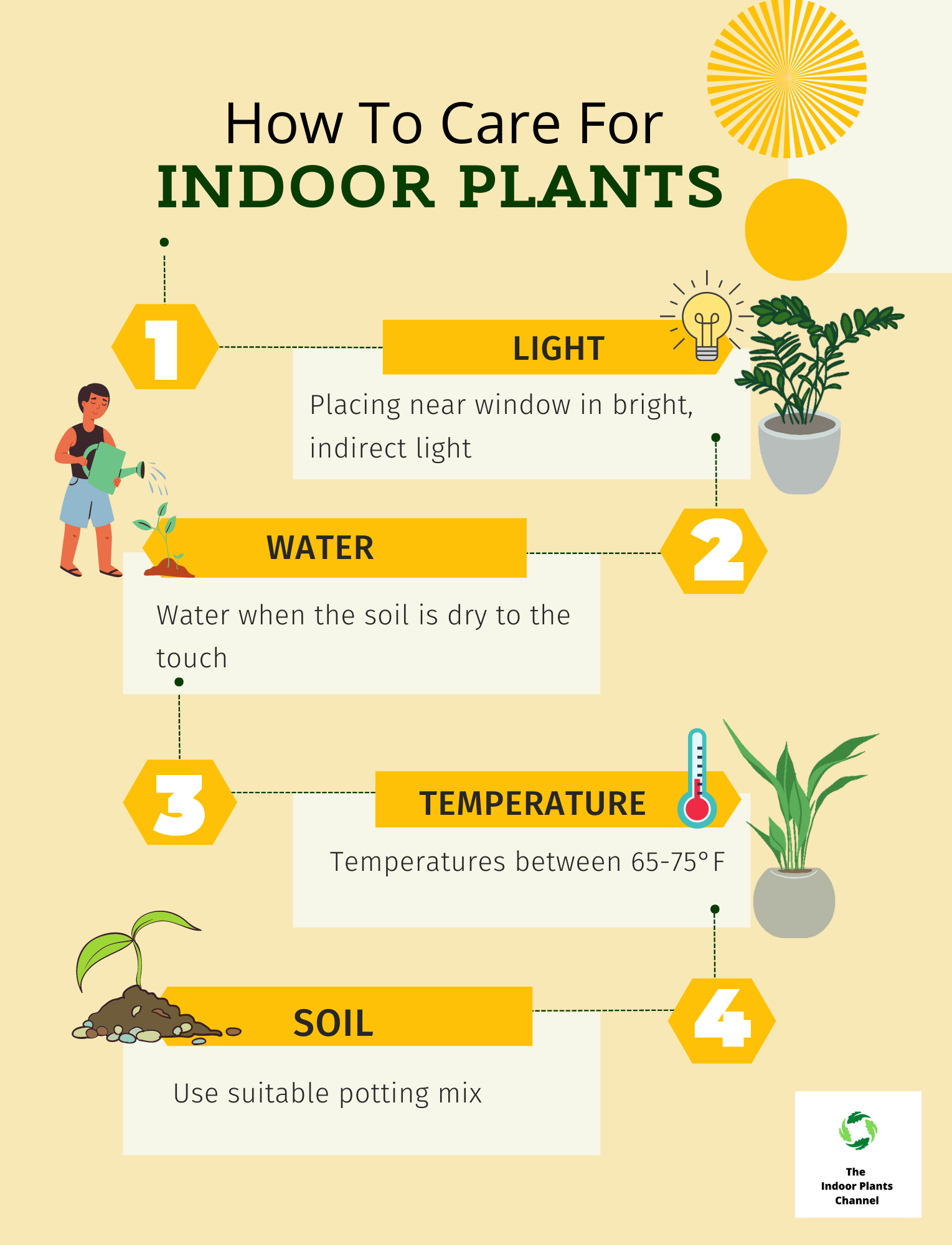 5 Easiest Indoor Plants To Care For