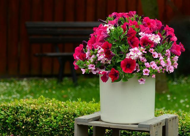 How To Choose The Perfect Large Flower Pot For Your Home