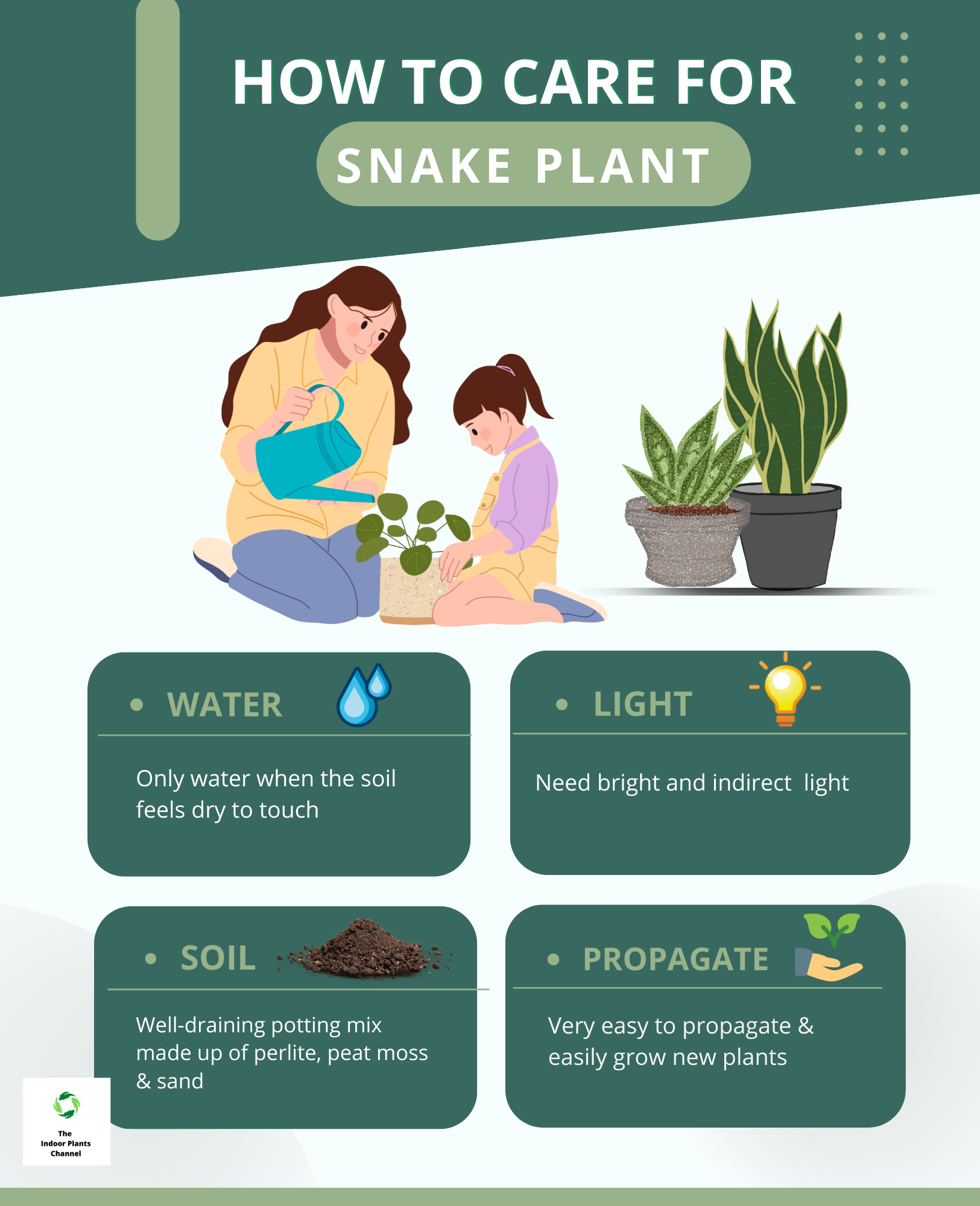 How To Care For A Snake Plant?