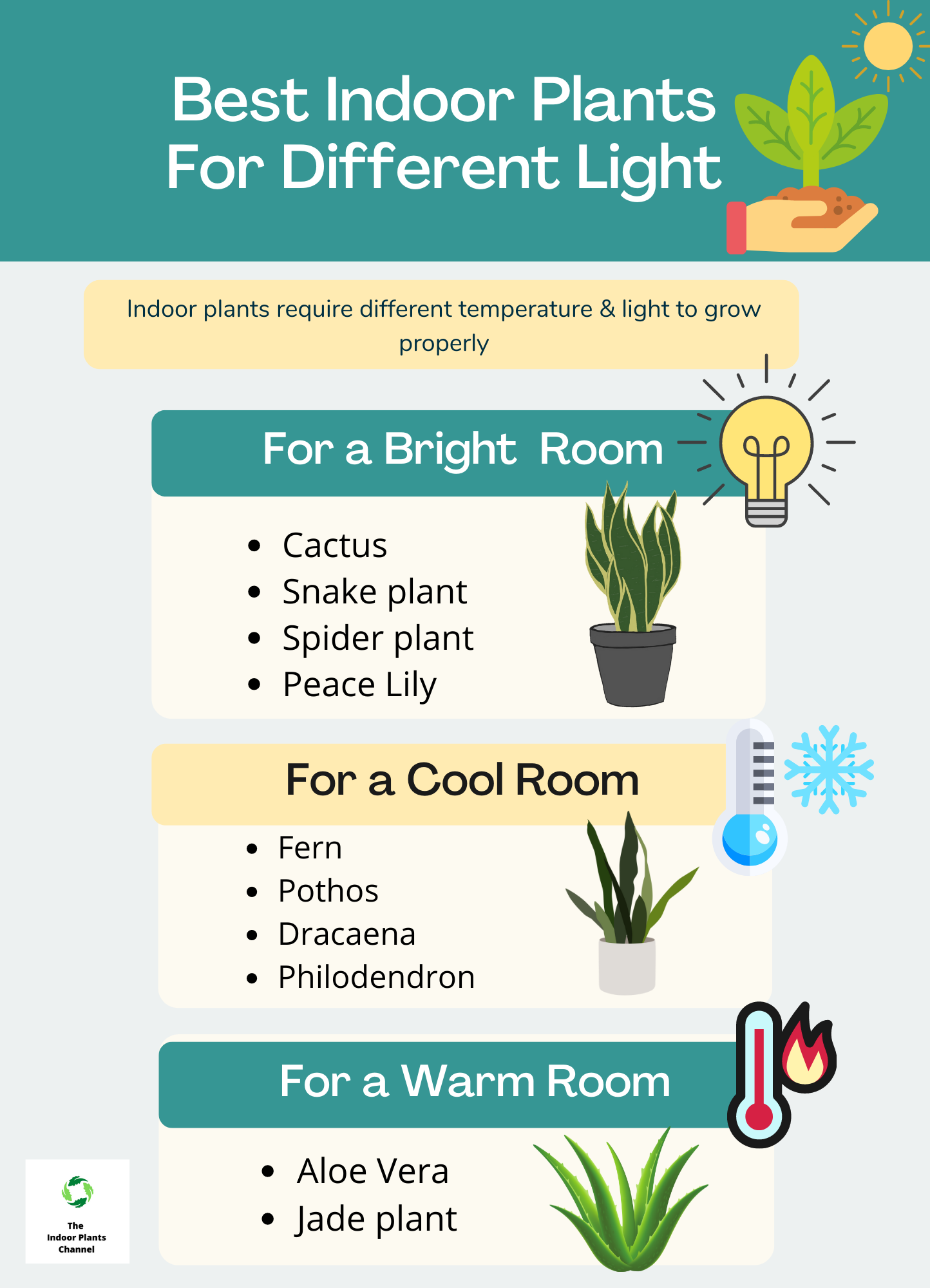 The Best Indoor Plants For Different Rooms