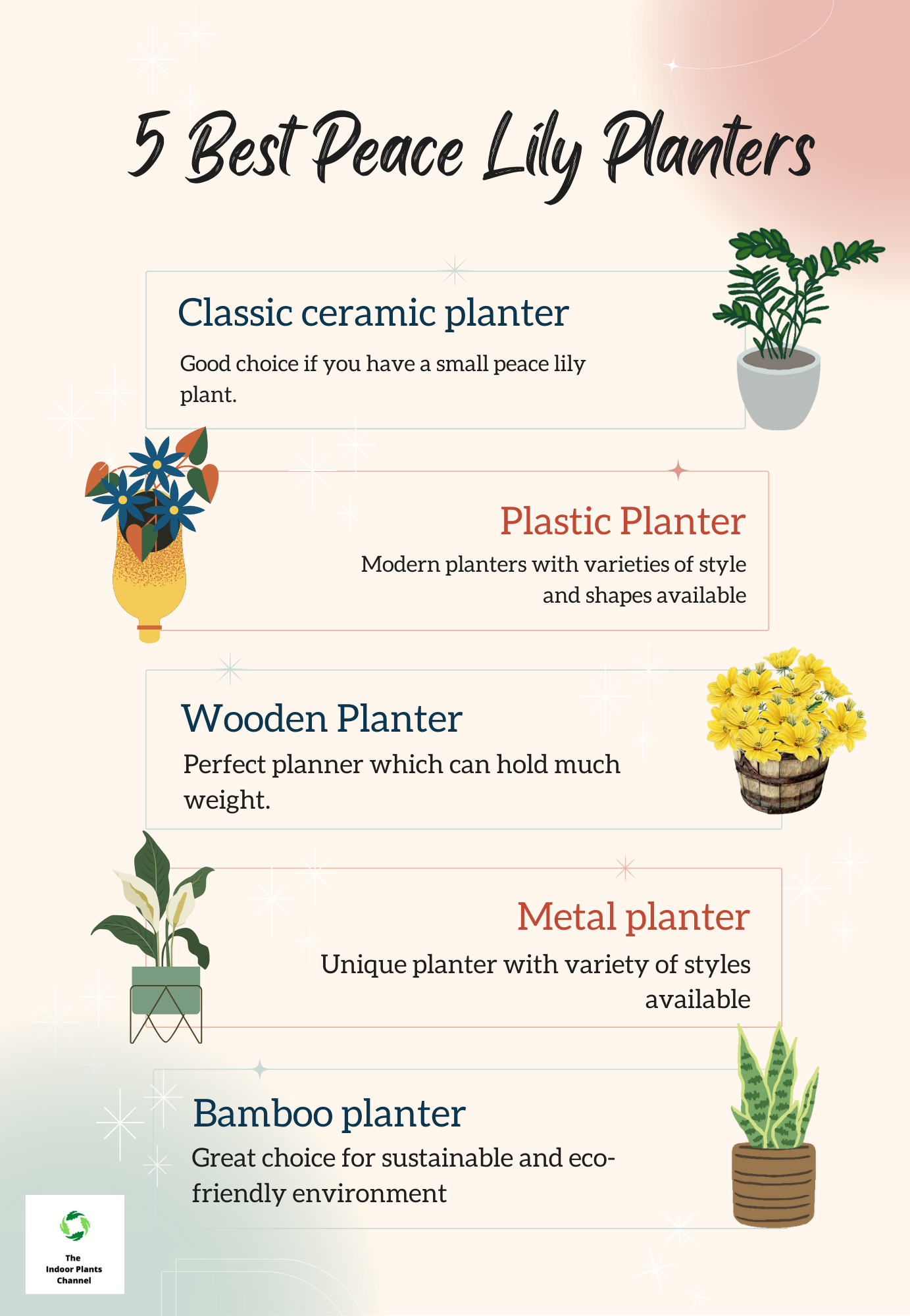 5 Best Peace Lily Planters