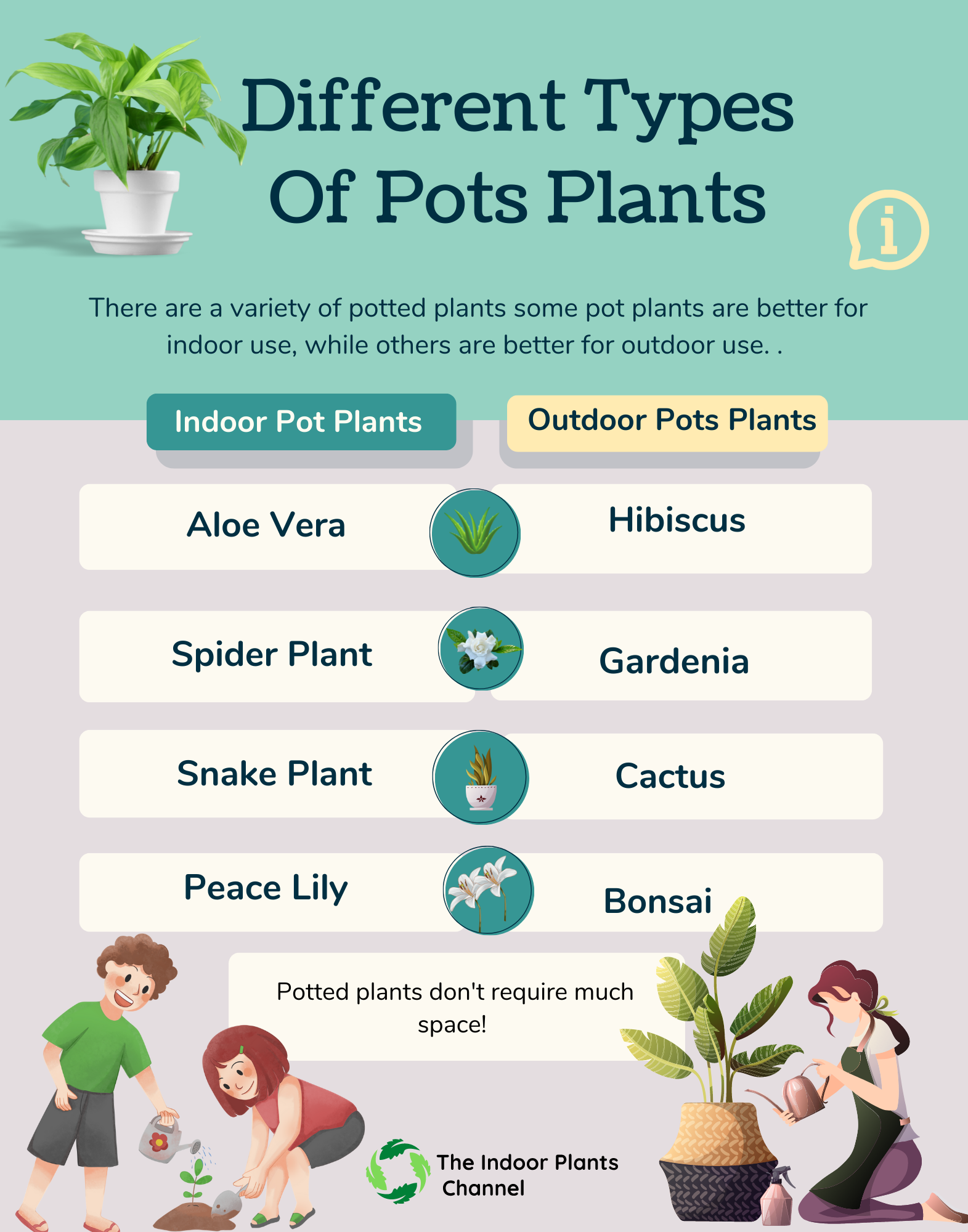 The Different Types Of Pots Plants