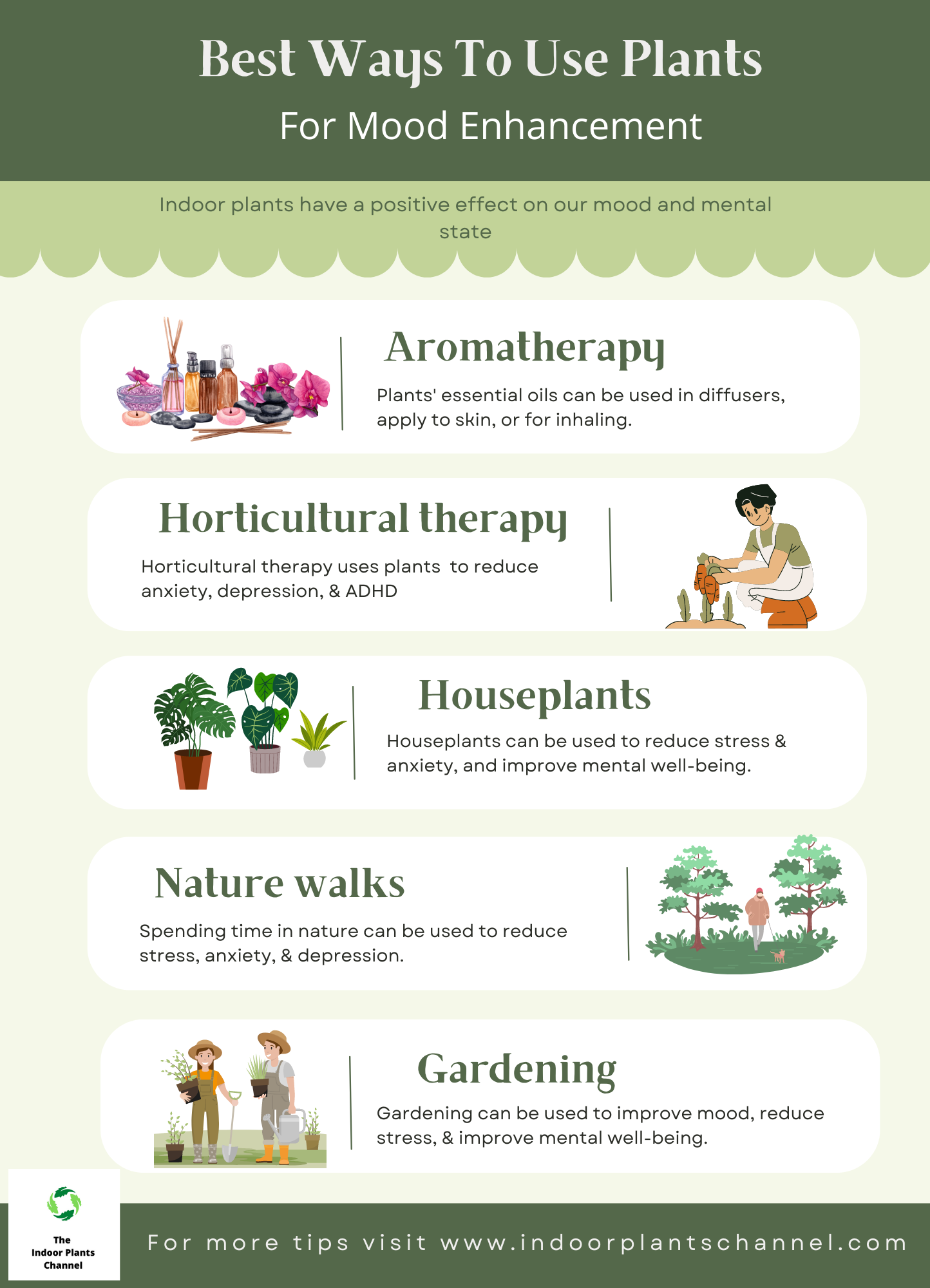 Best ways to use plants