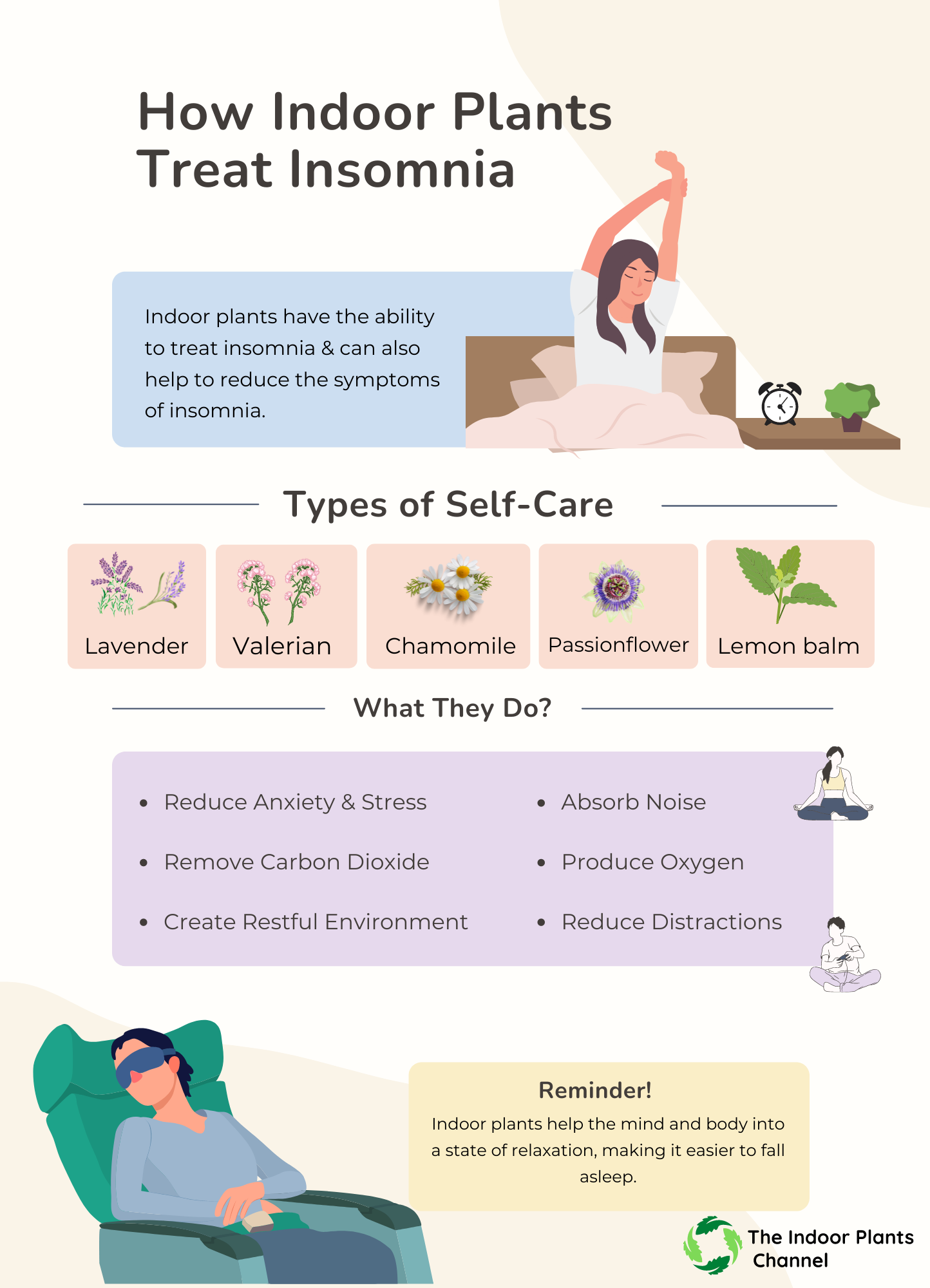 How indoor plants treat insomnia