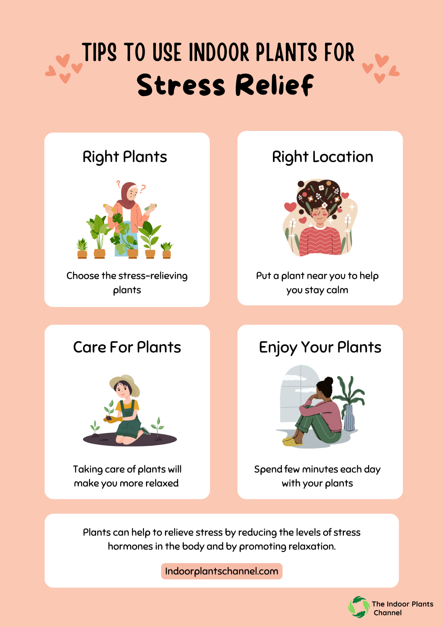 How To Use Indoor Plants For Stress Relief