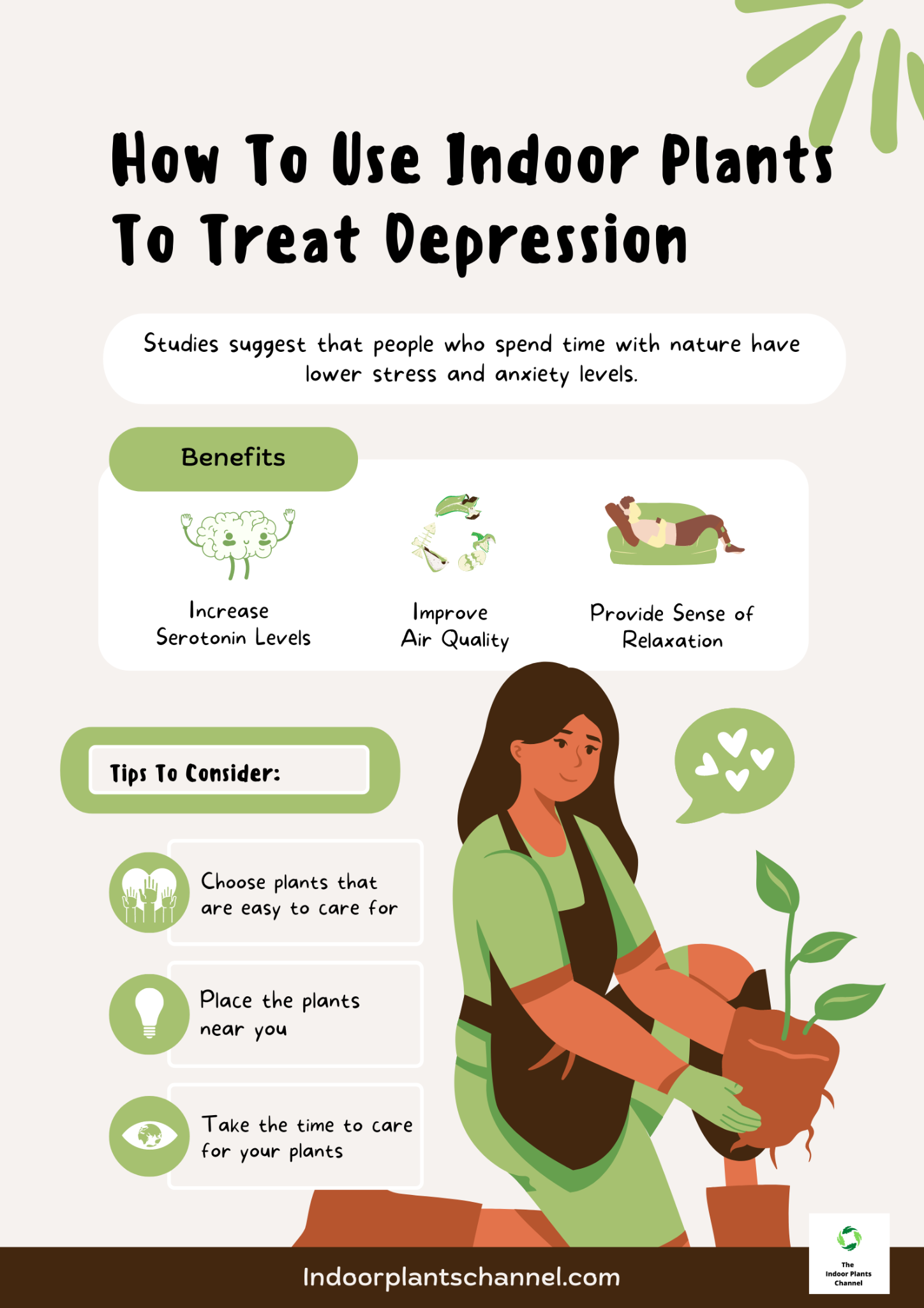 How to use indoor plants to treat depression