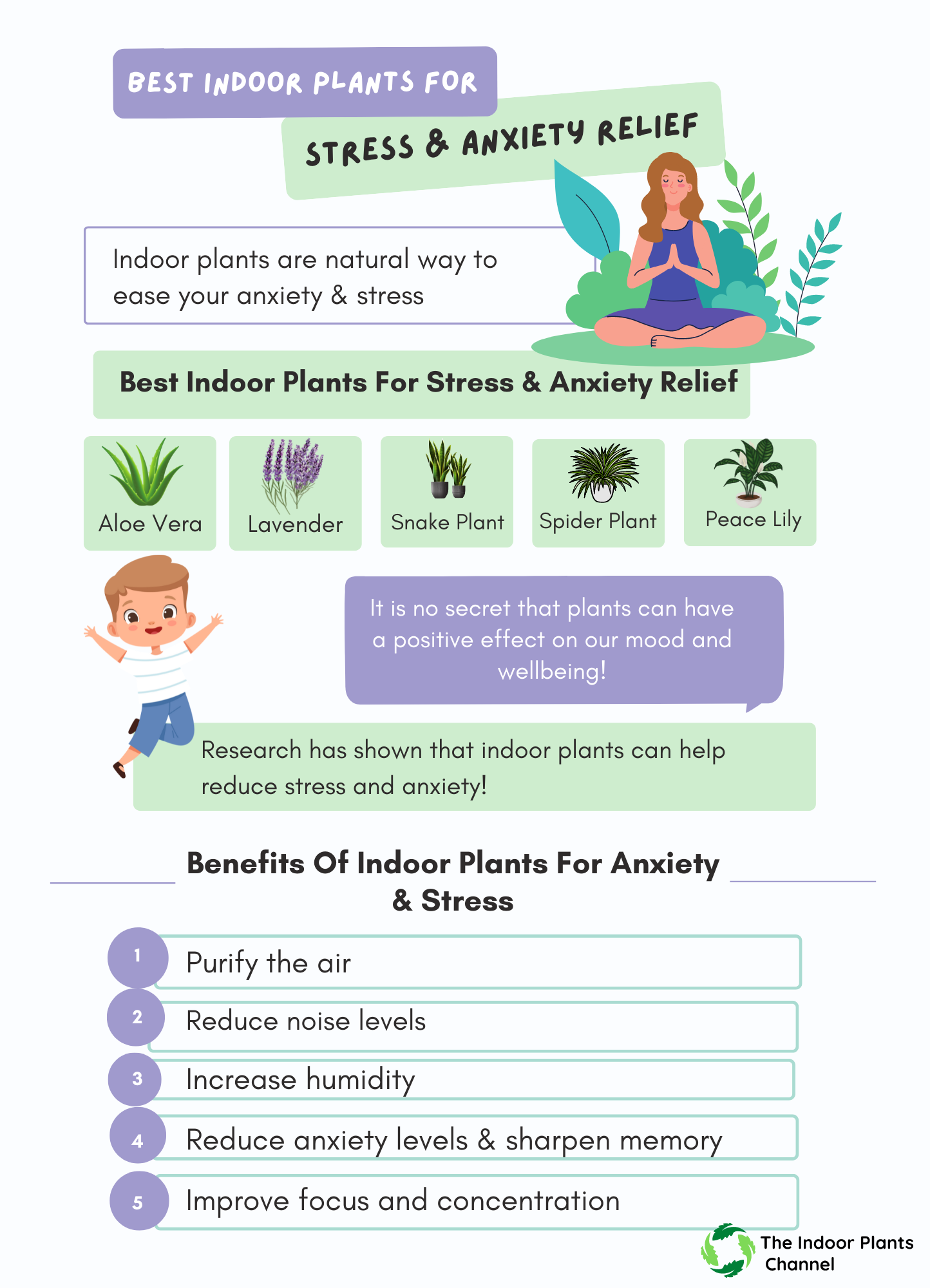 The Best Indoor Plants For Stress And Anxiety Relief