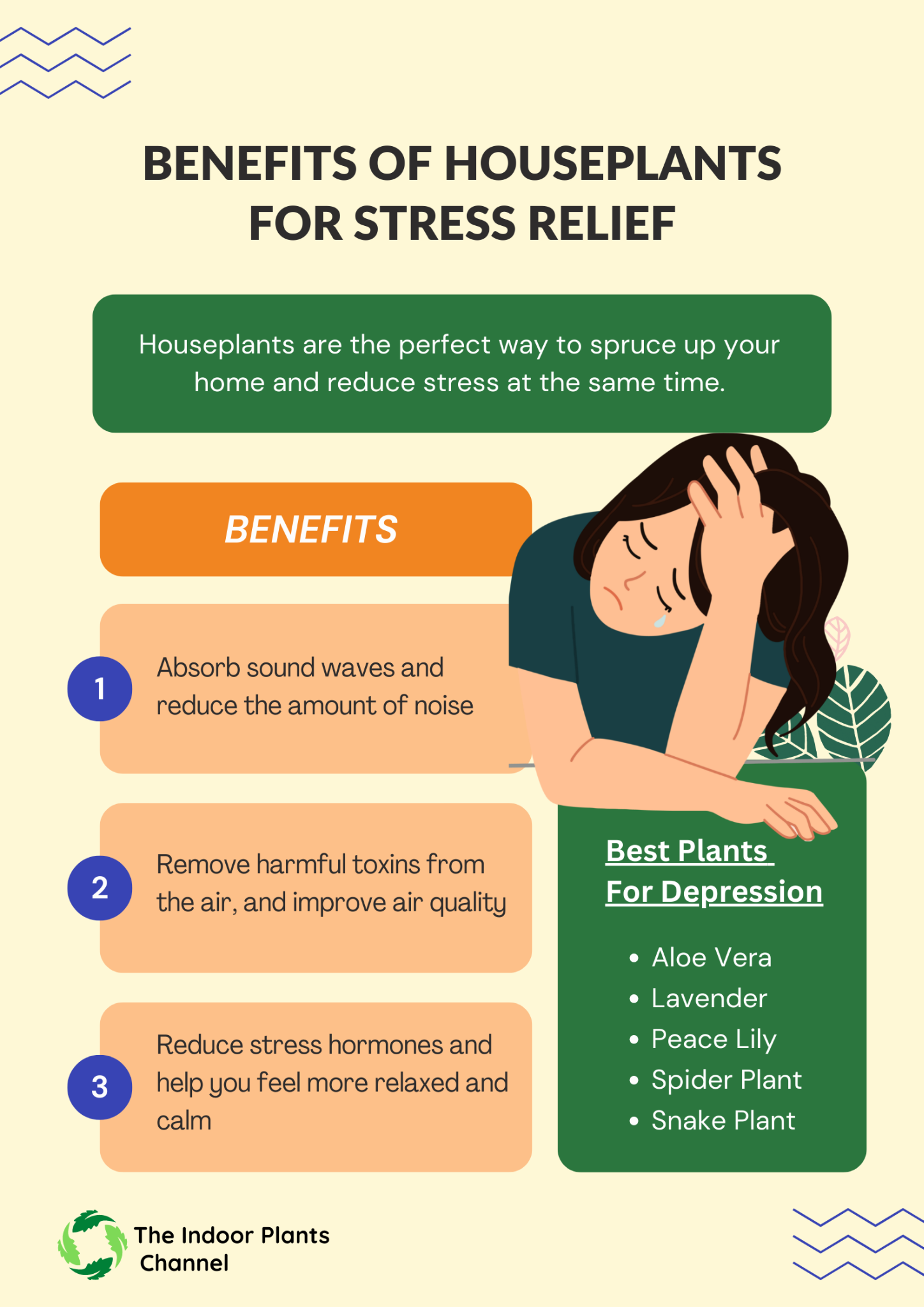 Benefits of houseplants for stress relief