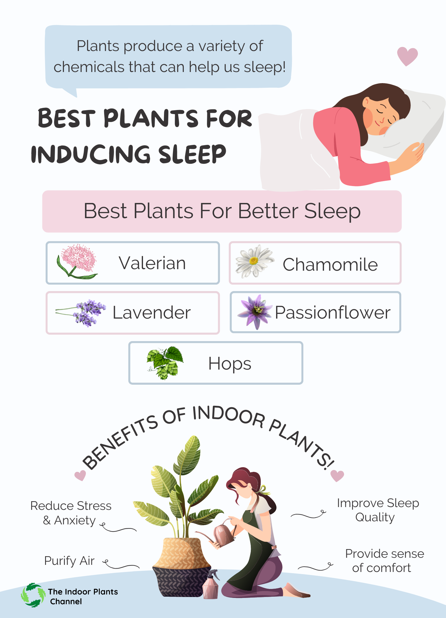 The Best Plants For Inducing Sleep