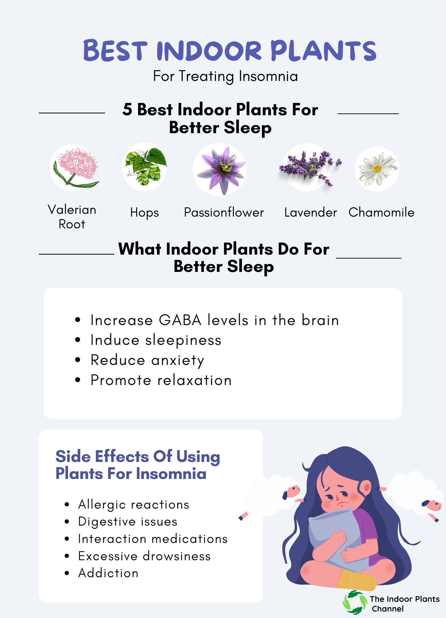 The Best Plants For Treating Insomnia