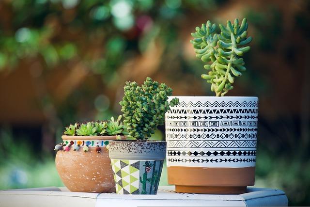 Slow Growing Houseplants For Beginners: The Ultimate Guide
