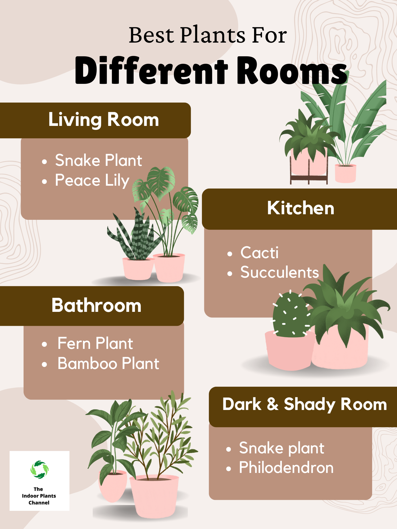 The Best Plants For Different Rooms