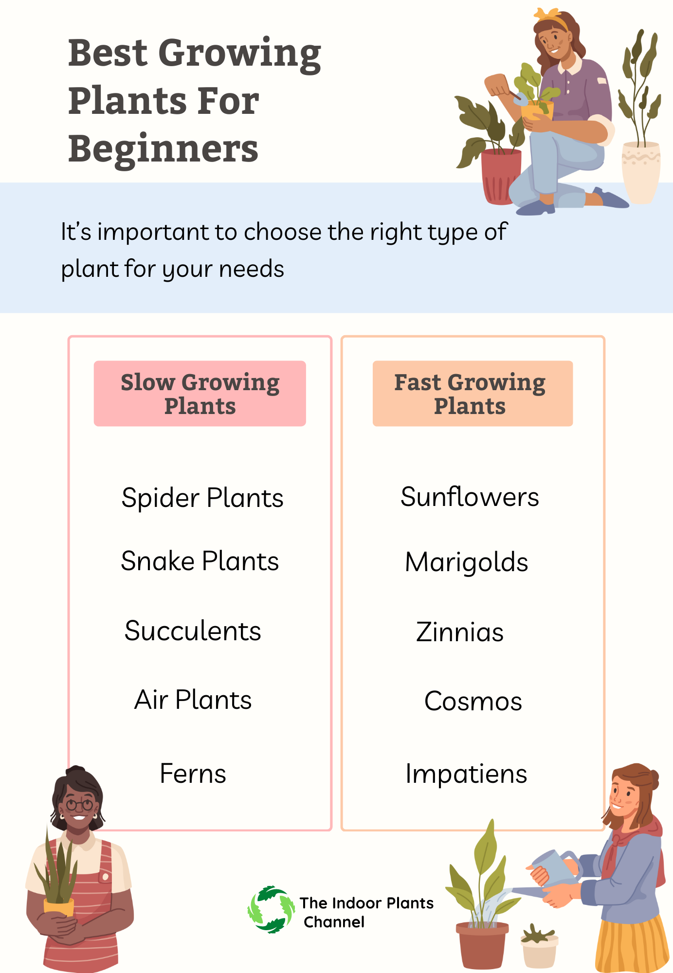 Best growing plants