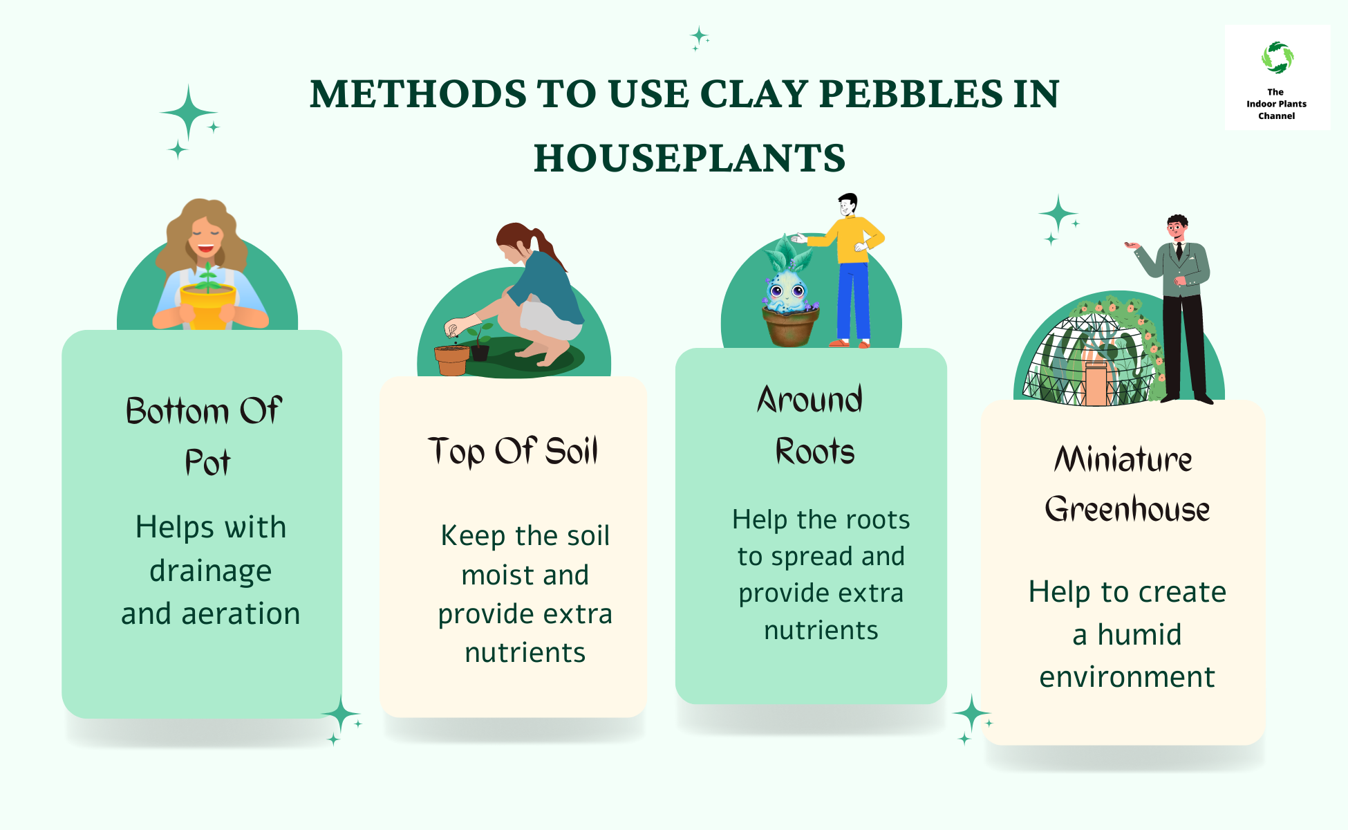4 Methods to Use Clay Pebbles In Houseplants