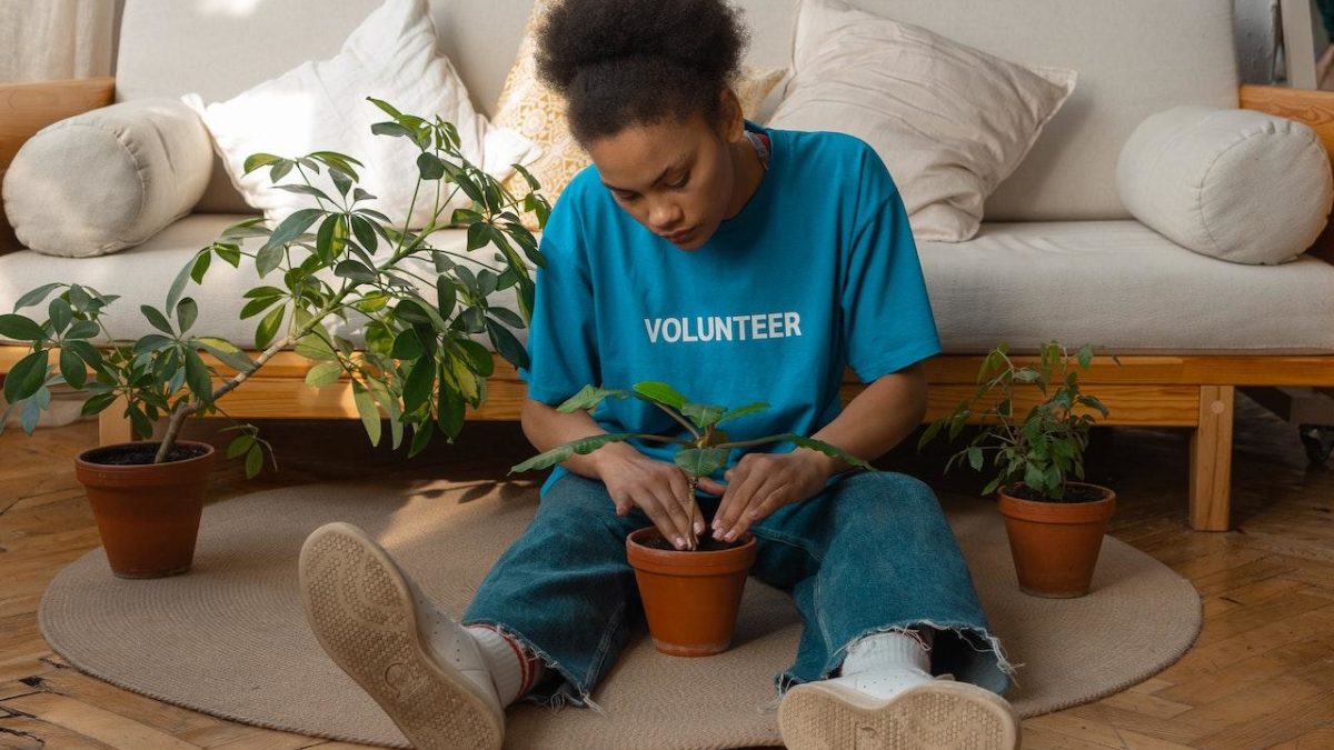 How To Care For A Resilient Houseplant