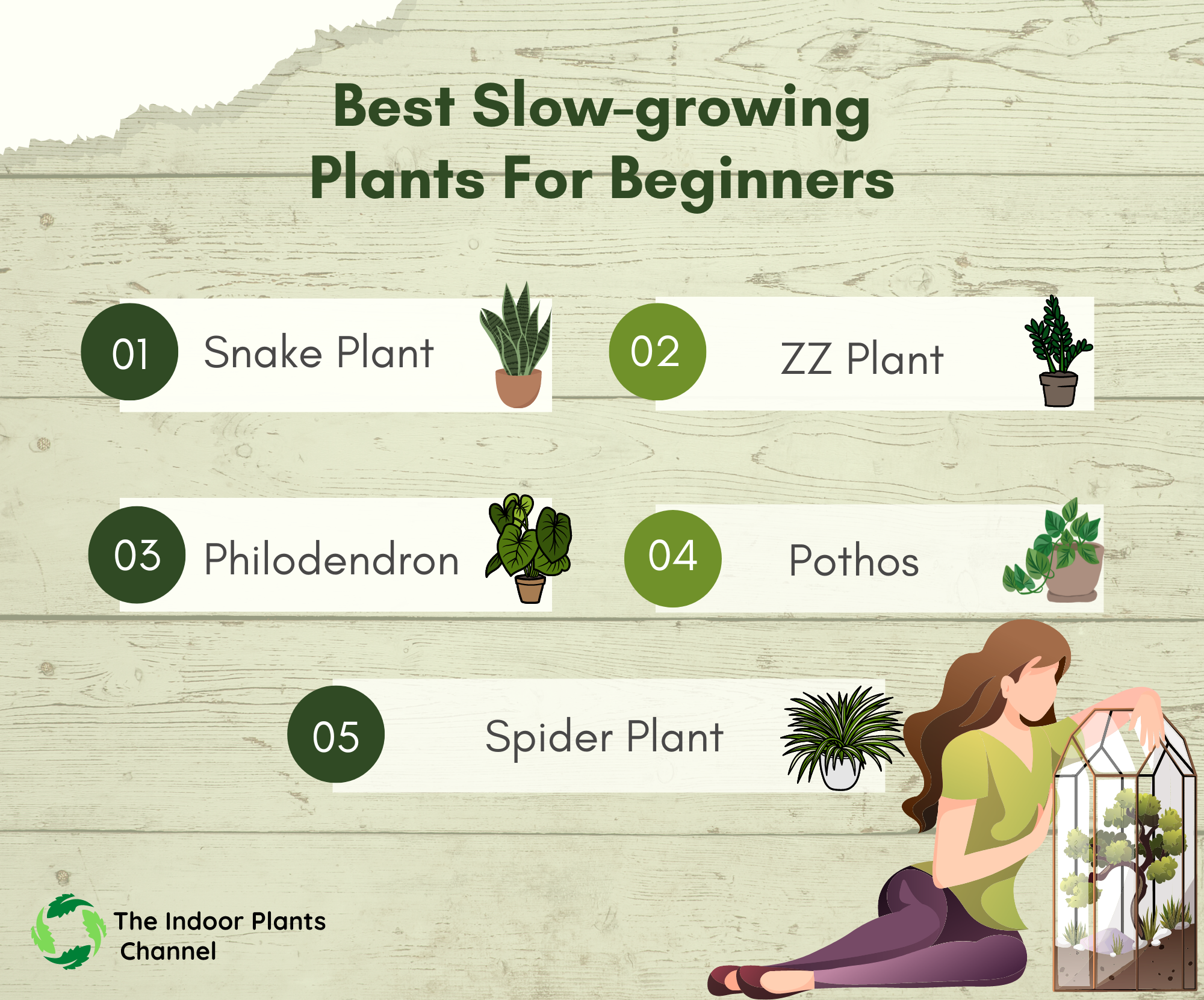best slow growing plants