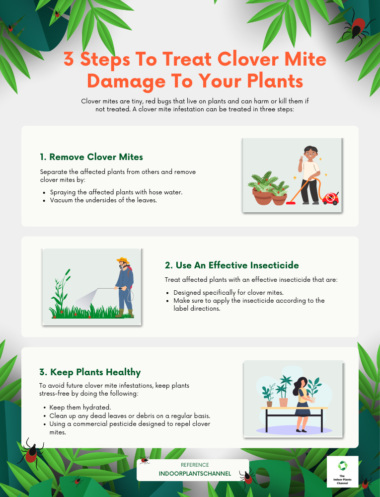 How Can You Treat Plants That Have Been Damaged By Clover Mites?