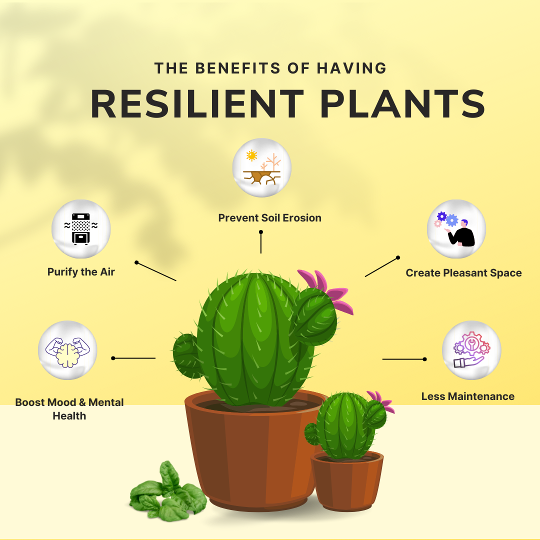 Benefits of having Resilient Plants