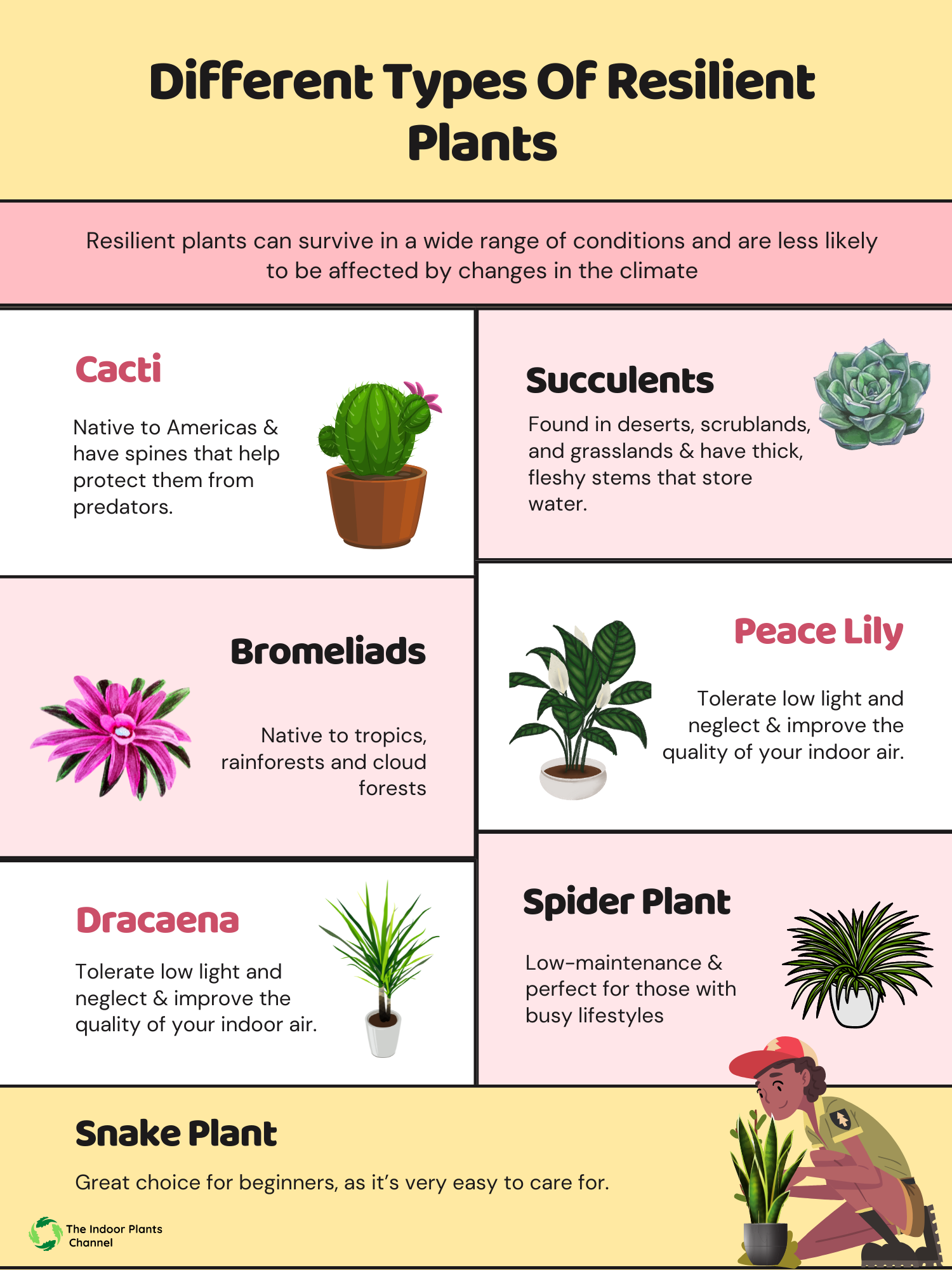Different Types Of Resilient Plants