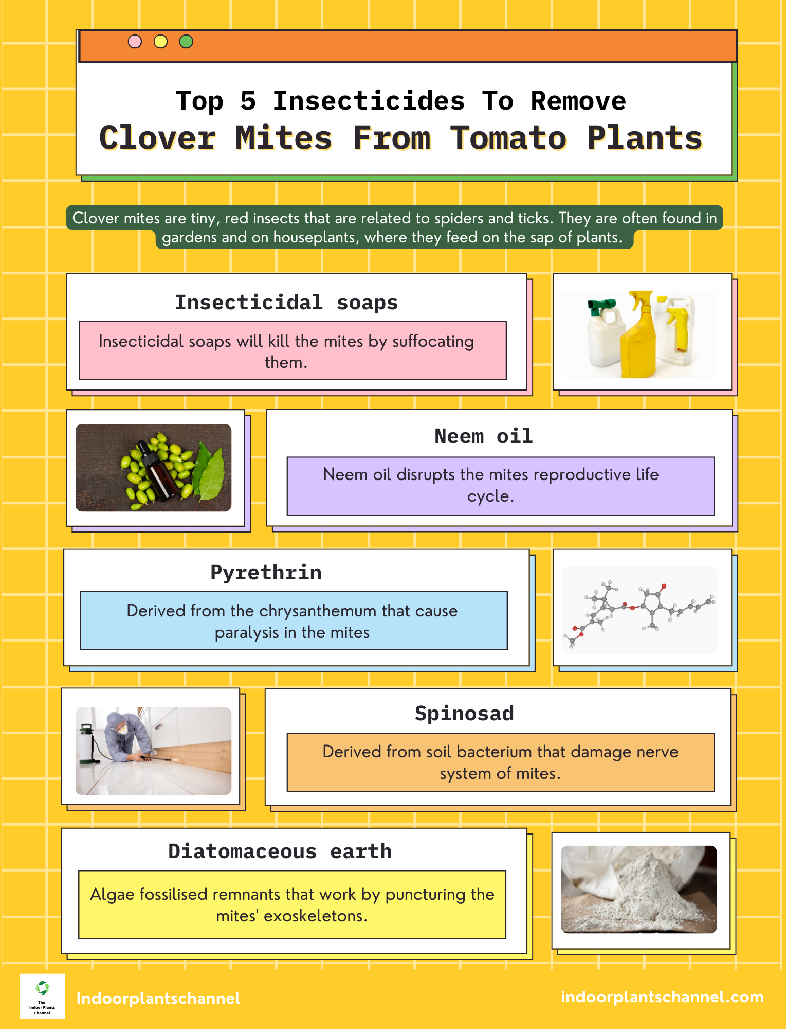 Top 5 Most Effective Insecticides For Clover Mites On Tomato Plants