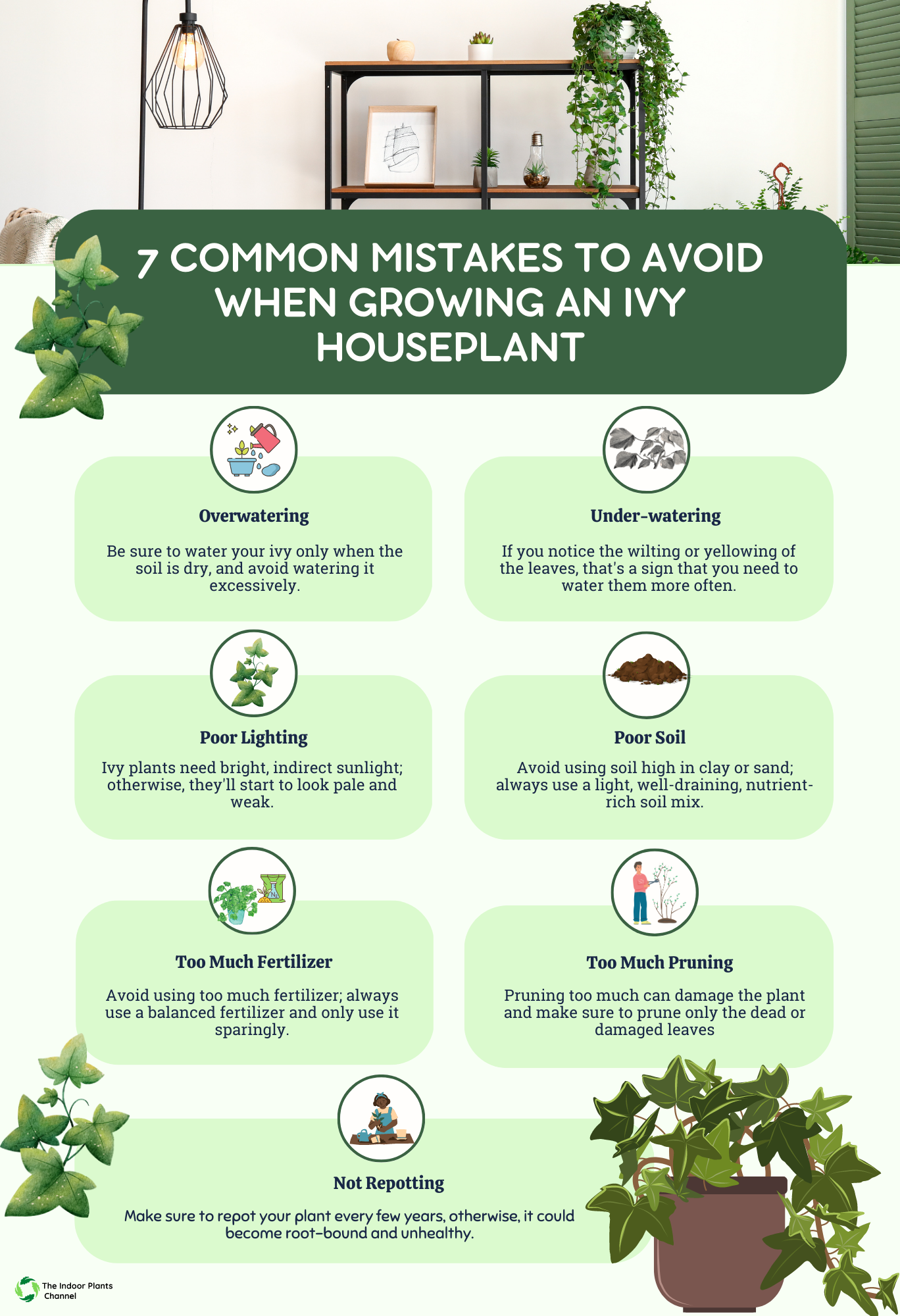 Common Mistakes To Avoid When Growing An Ivy Houseplant