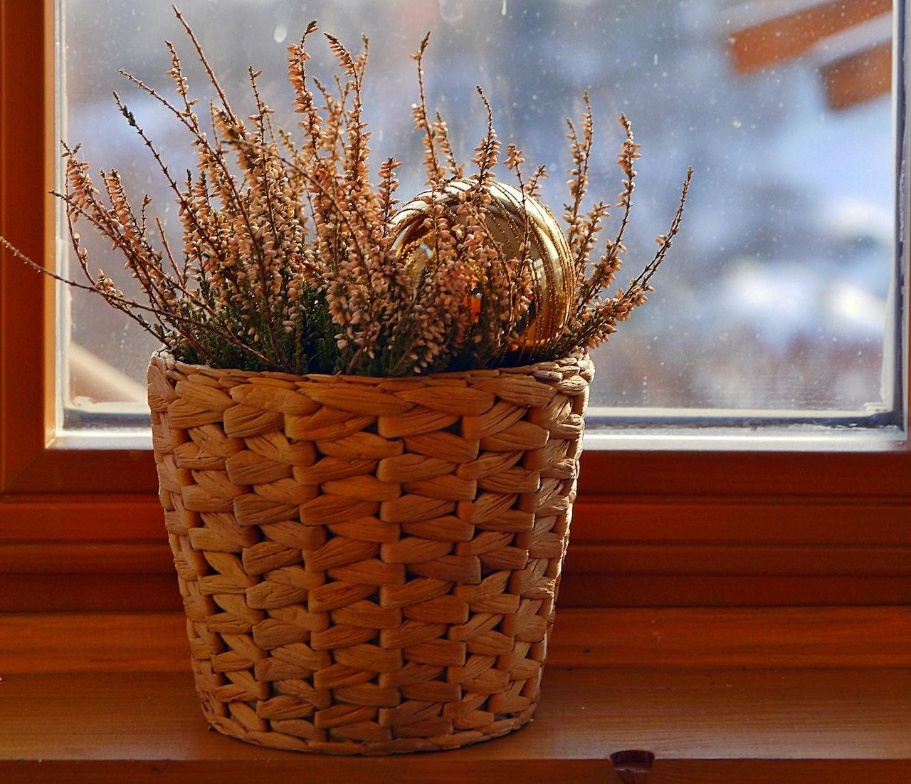 large pots for plants