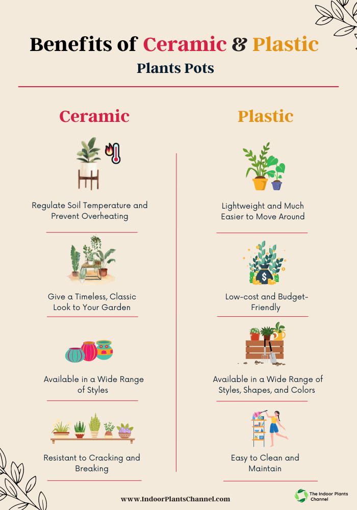 Ceramic Plant Pots vs. Plastic The Great Debate