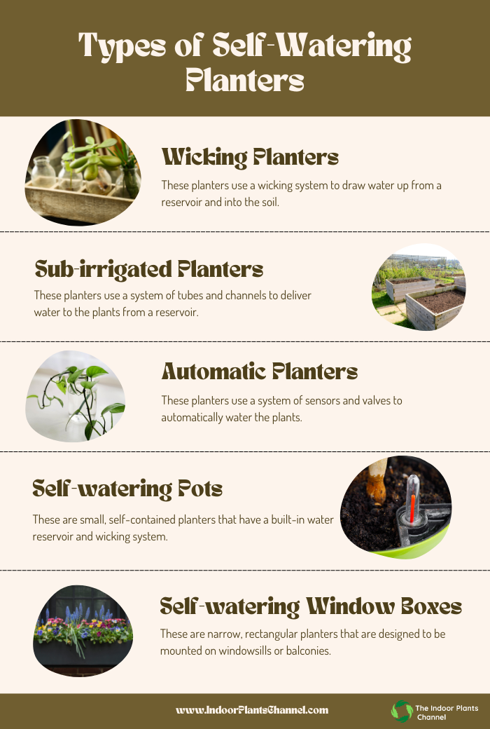 Types of Self-Watering Planters