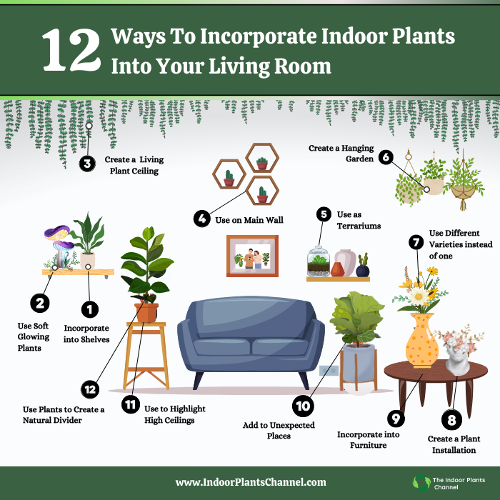 12 Unconventional Ways To Decorate Your Living Room With Indoor Plants