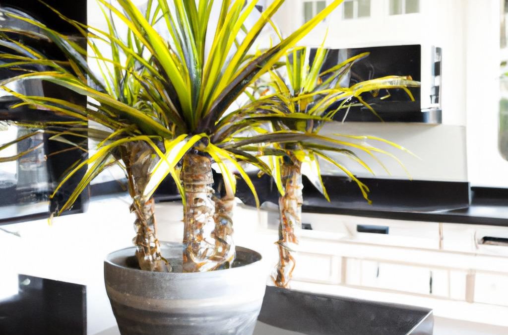 10 Common Mistakes to Avoid When Growing Dracaena Plants