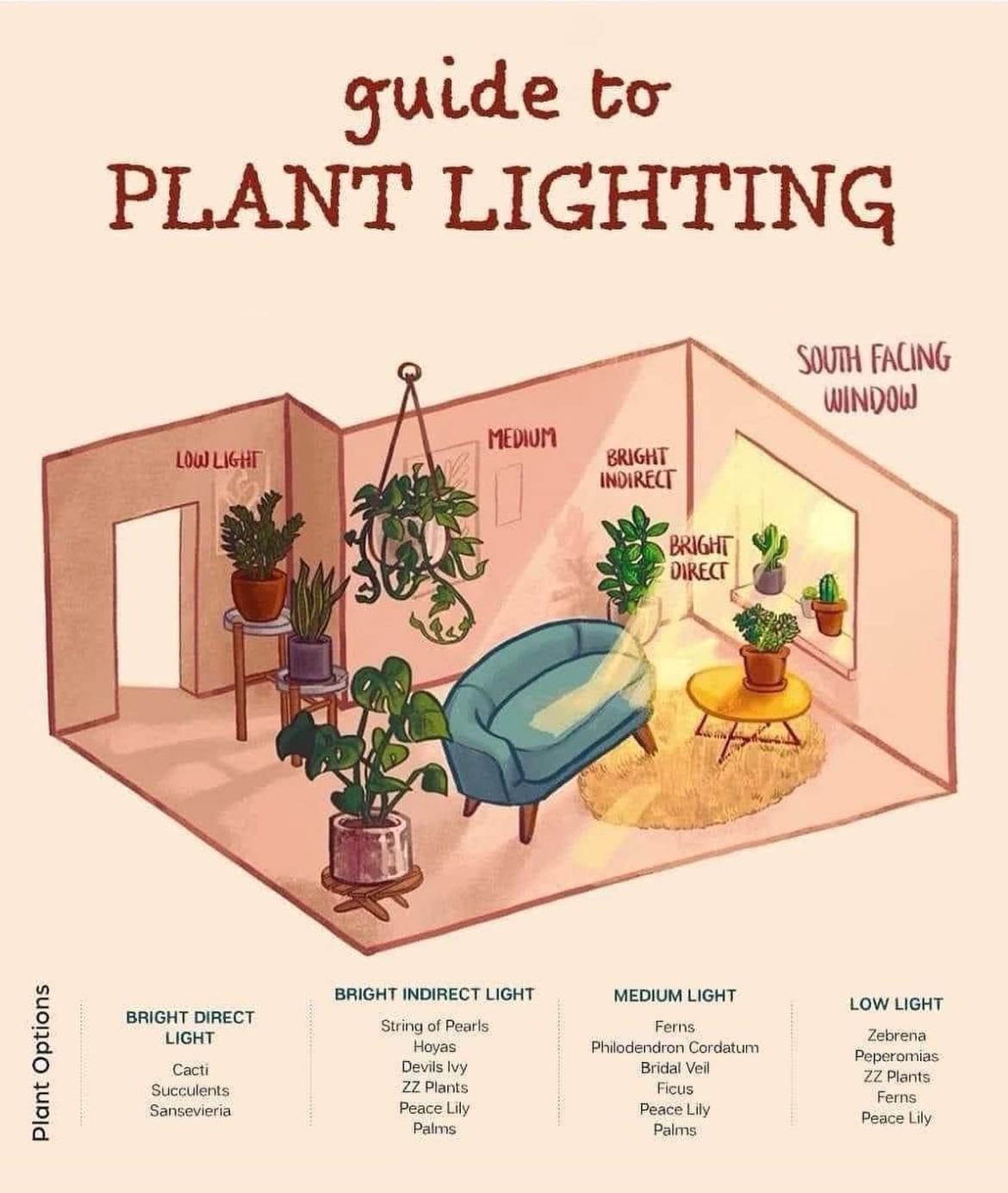 Indoor Plant Grow Lights Guide Complete Selection And Setup
