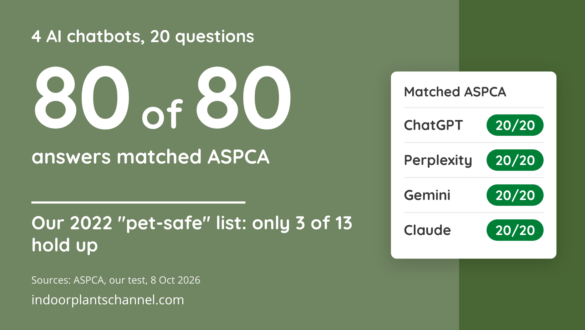 Four AI chatbots matched the ASPCA list on 80 of 80 pet toxicity answers; only 3 of the 13 plants on our 2022 pet-safe list hold up.