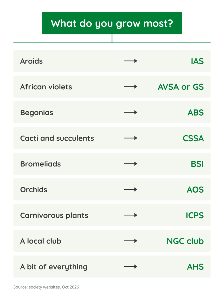 Decision chart matching plants to societies: aroids to IAS, African violets to AVSA or the Gesneriad Society, begonias to ABS, cacti to CSSA, bromeliads to BSI, orchids to AOS, carnivorous plants to ICPS, a local club to NGC, a bit of everything to AHS.